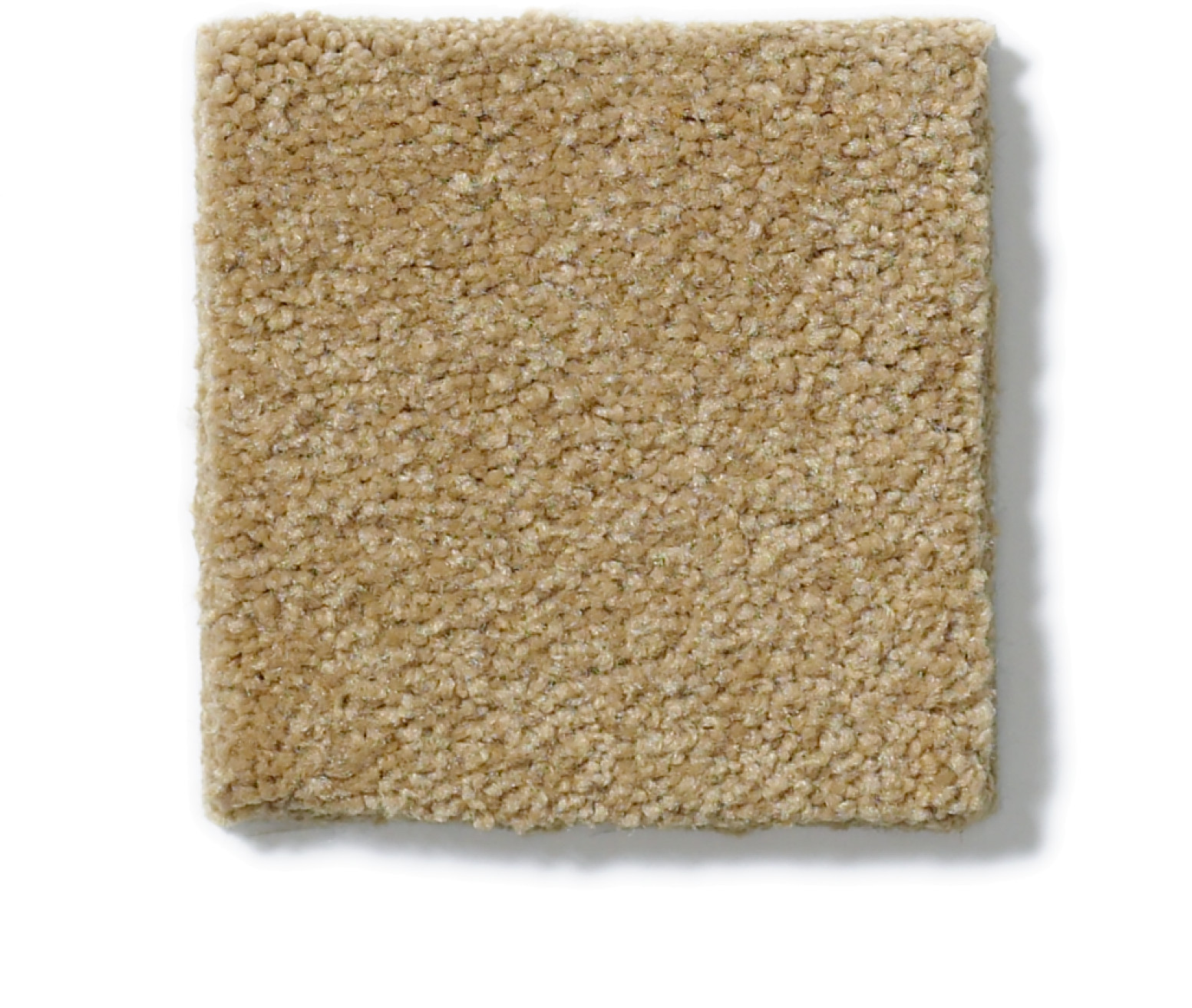 SHINGLE CREEK IV 15' CORK SWATCH