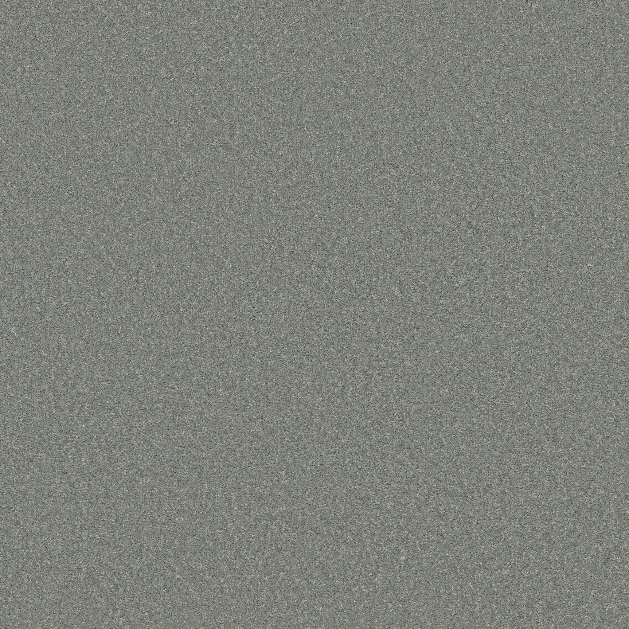 WAY TO GO I DOLPHIN FIN MAIN