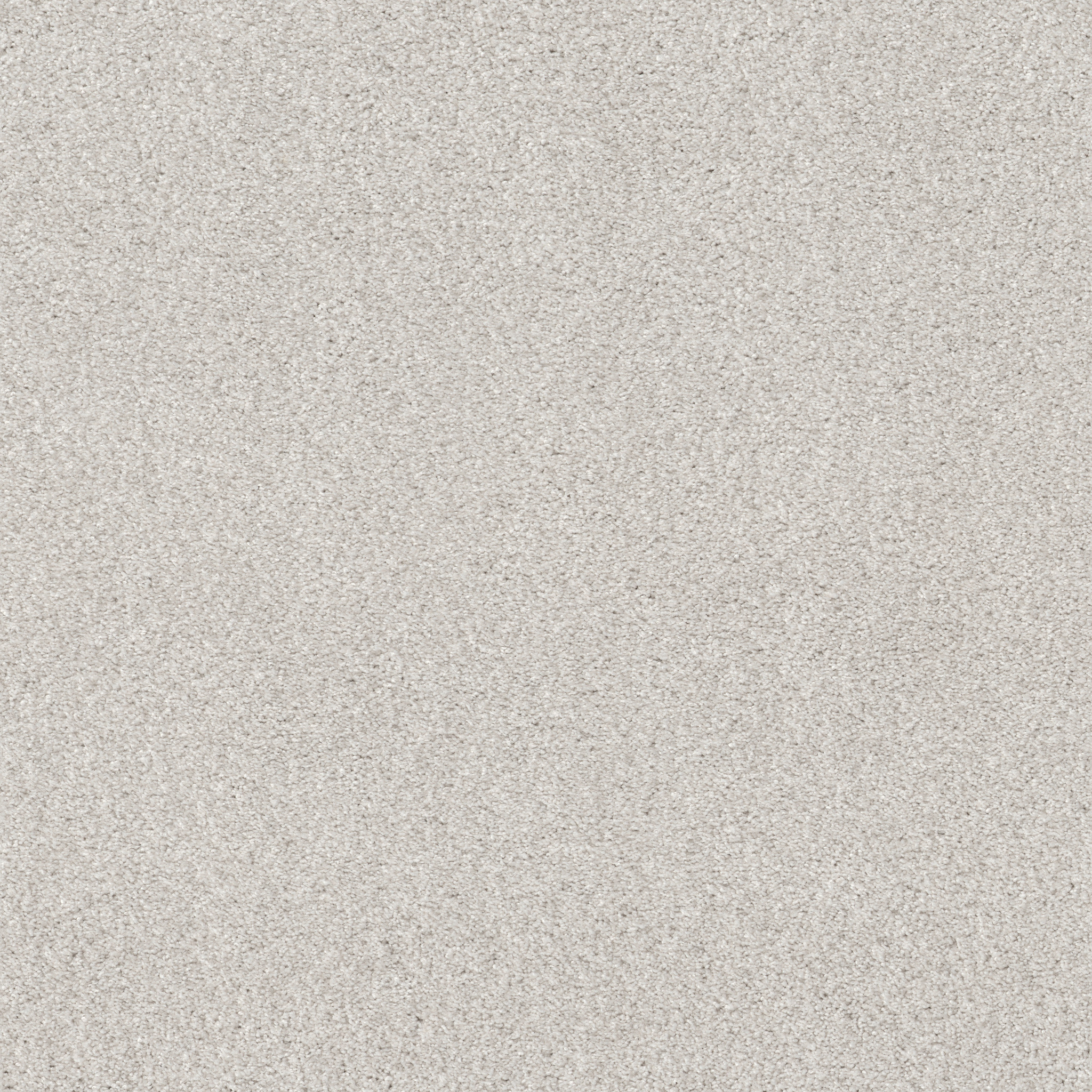 COZY HARBOR II FREE SPACE MAIN