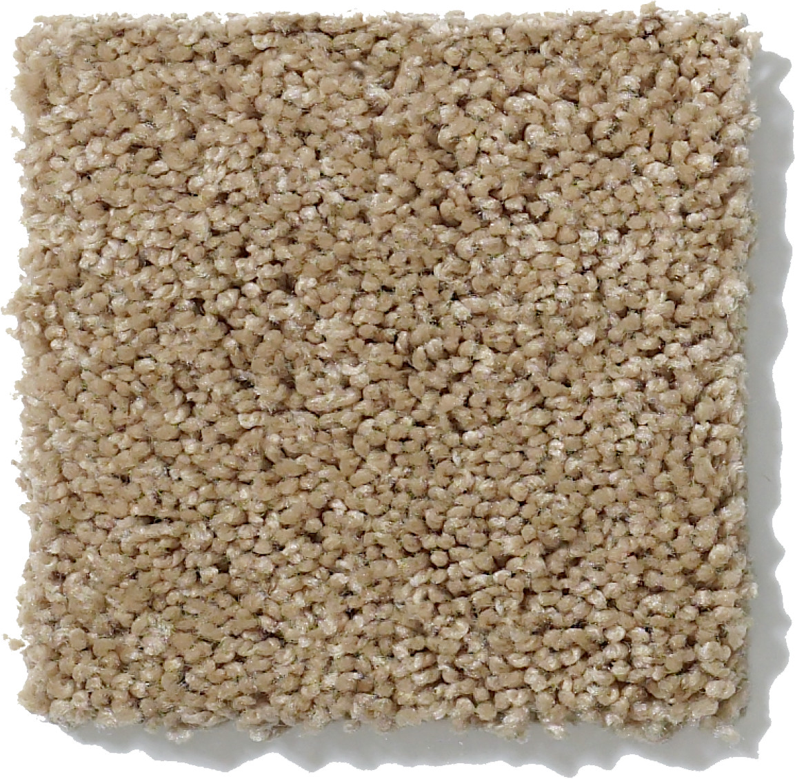 EMBARK MUSHROOM SWATCH