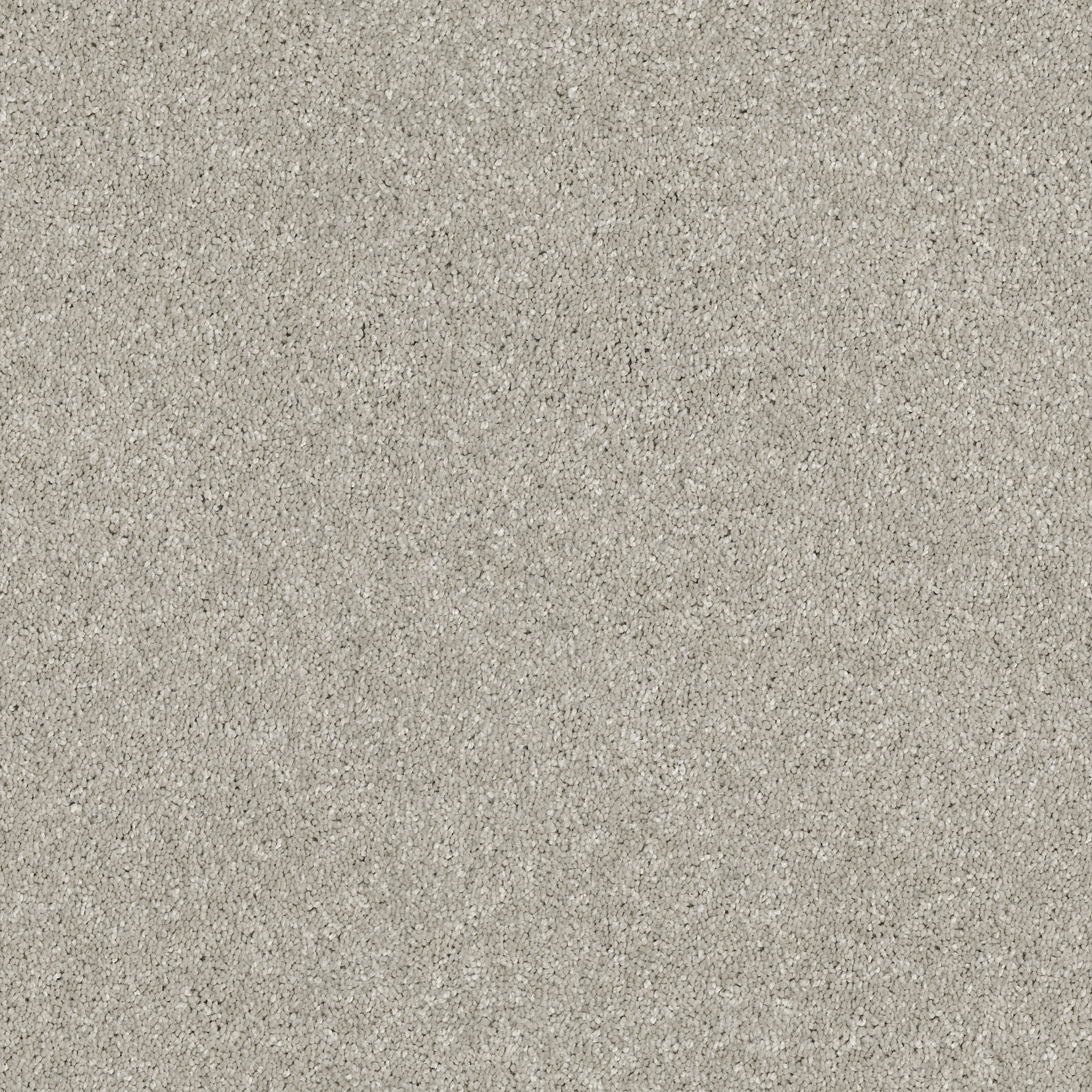 BASIC RULES PLATINUM MAIN