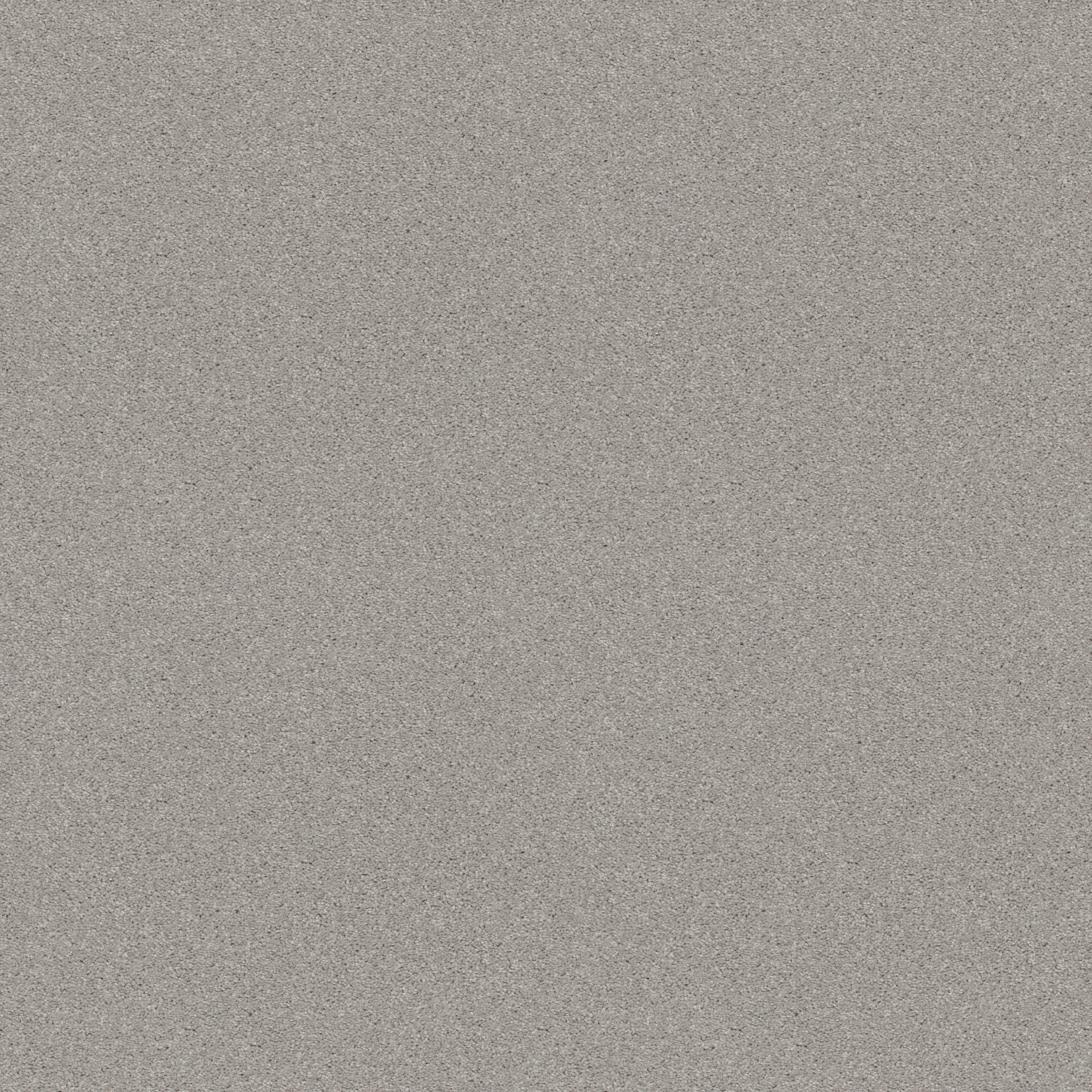 BEAUTIFULLY SIMPLE I 12 SHEER SILVER MAIN