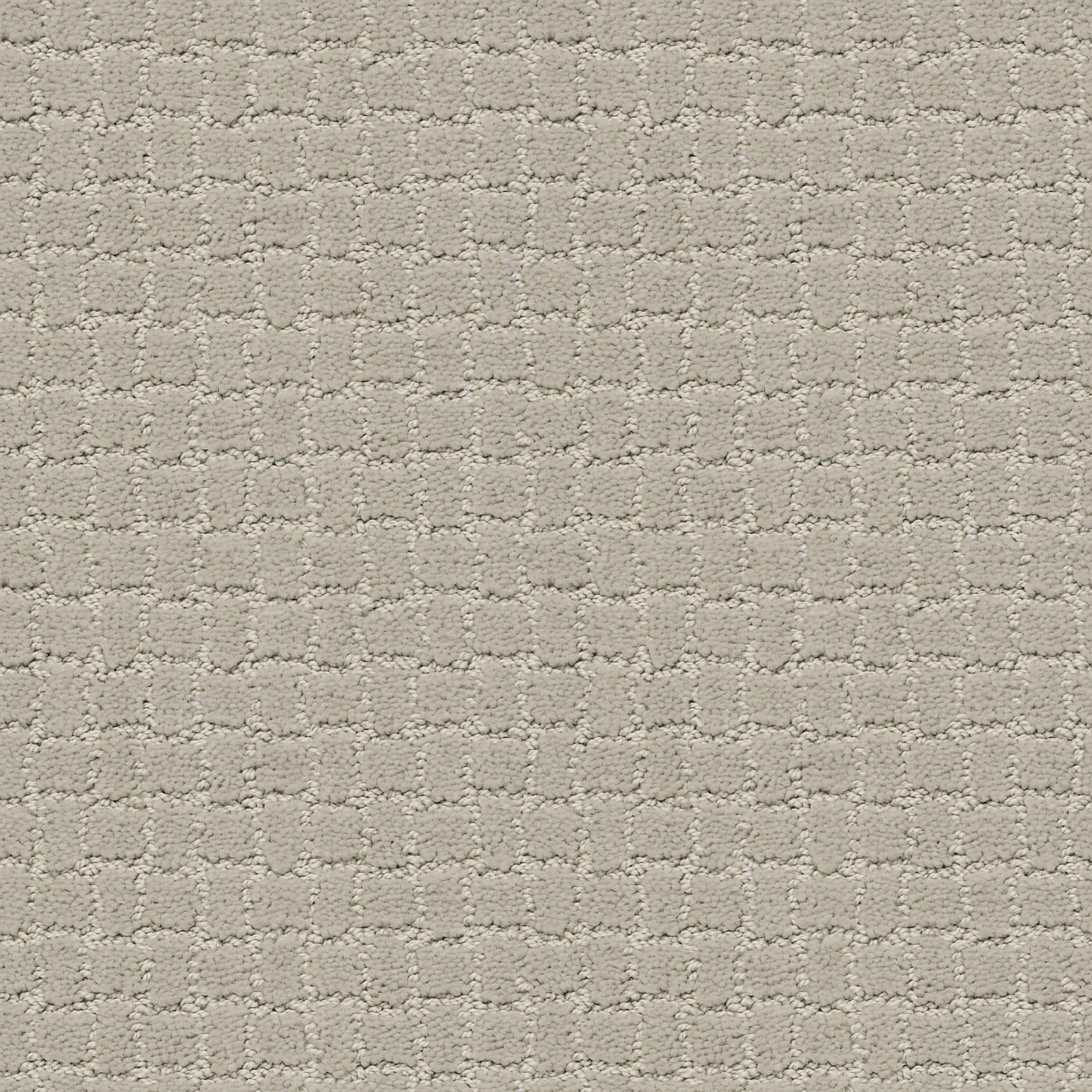 PAWSTRUCK SILVER FOX MAIN