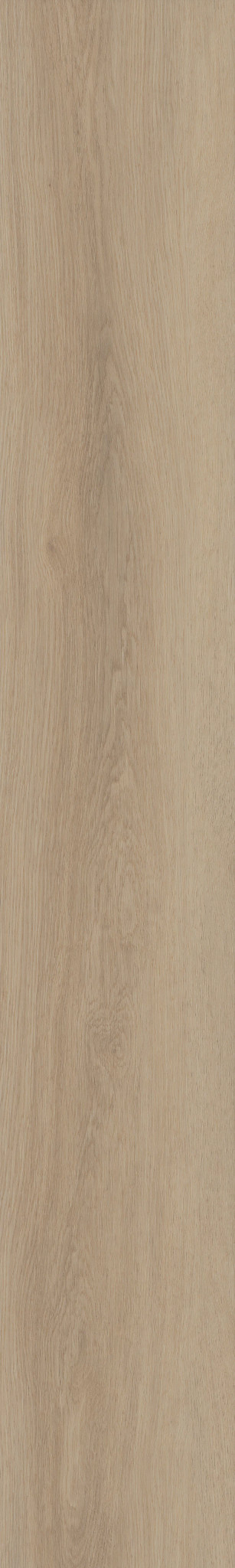 Dwell COZY TAUPE 1TO1