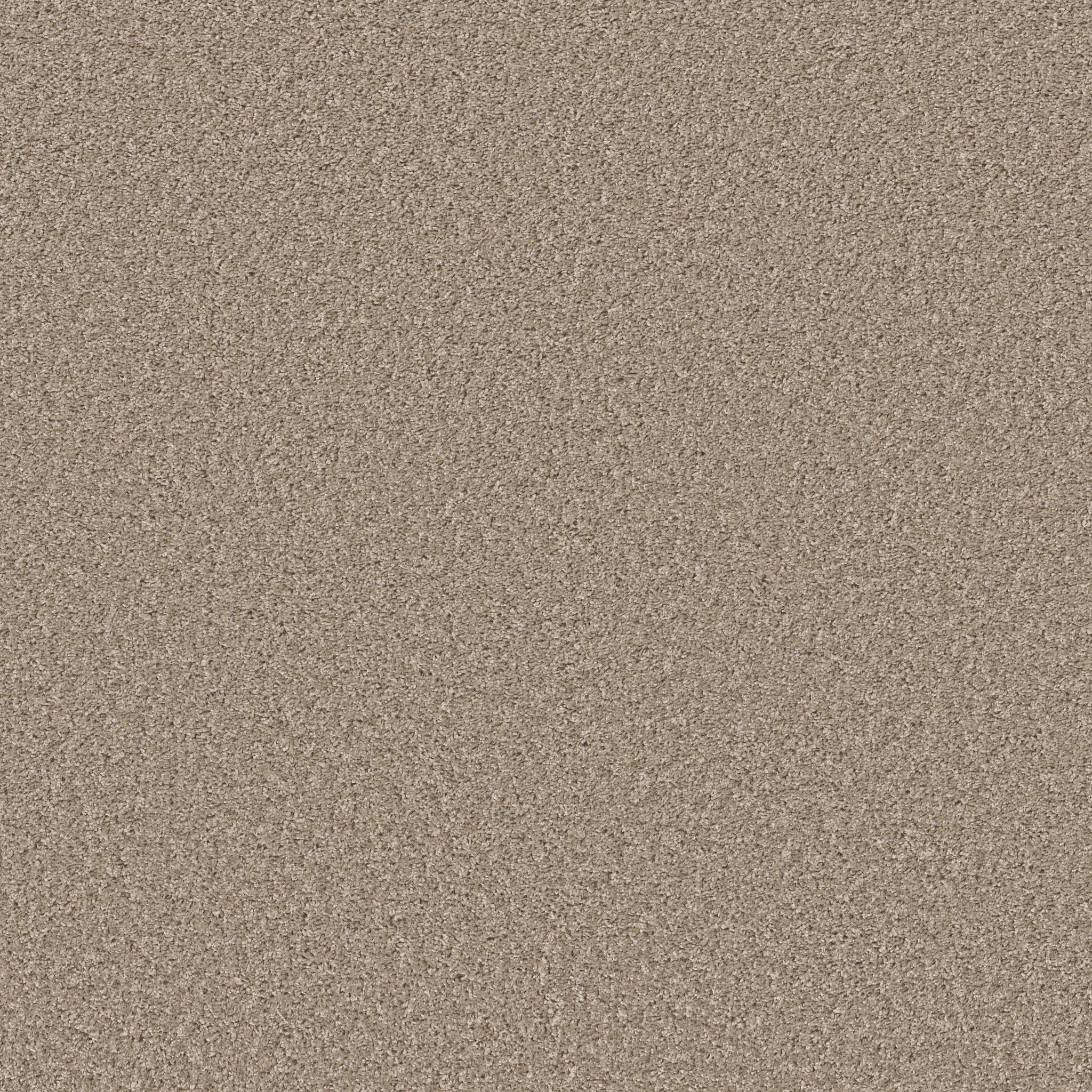 SHAKE IT UP (S) BREEZE MAIN