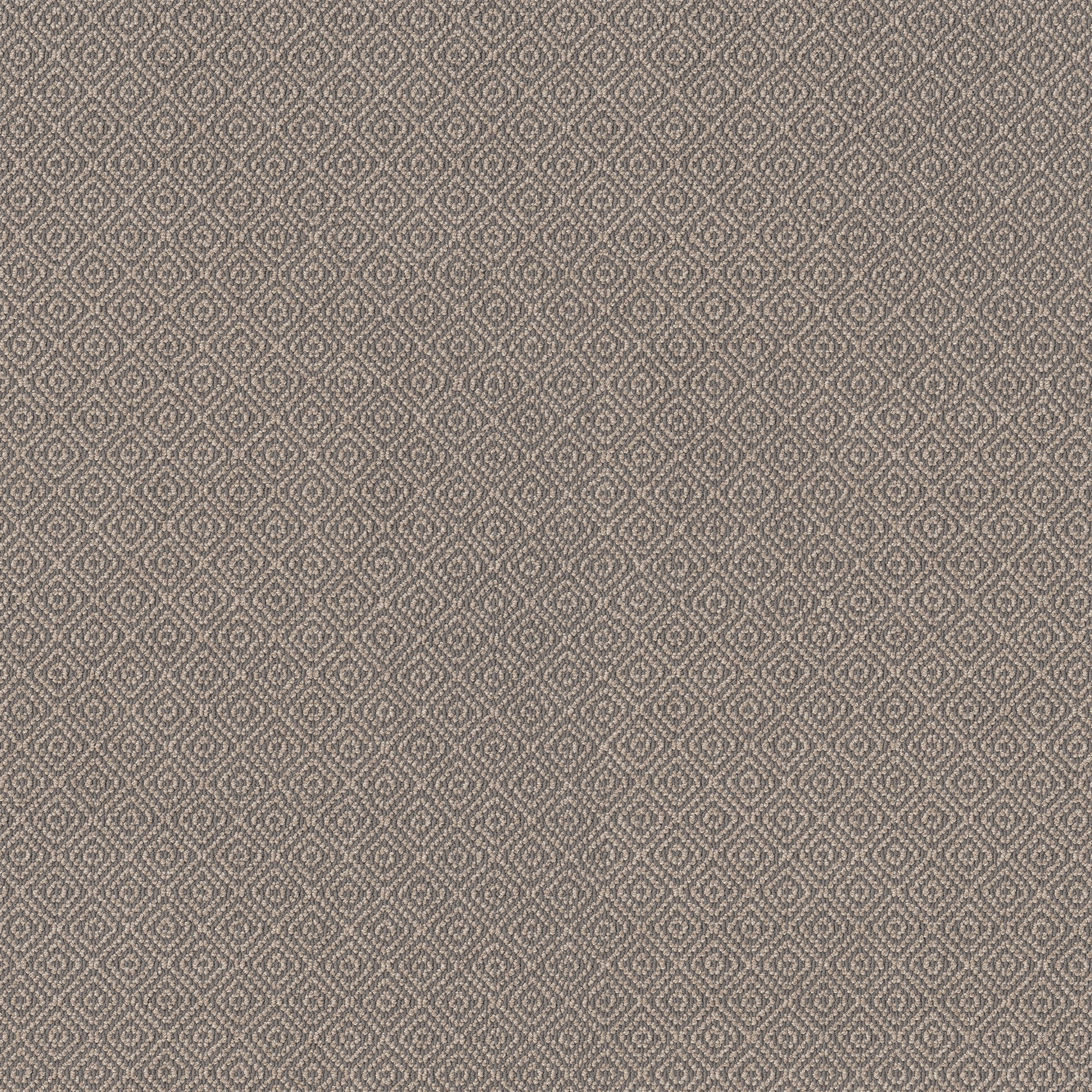 Sano　0226 59128bkt.jpg
