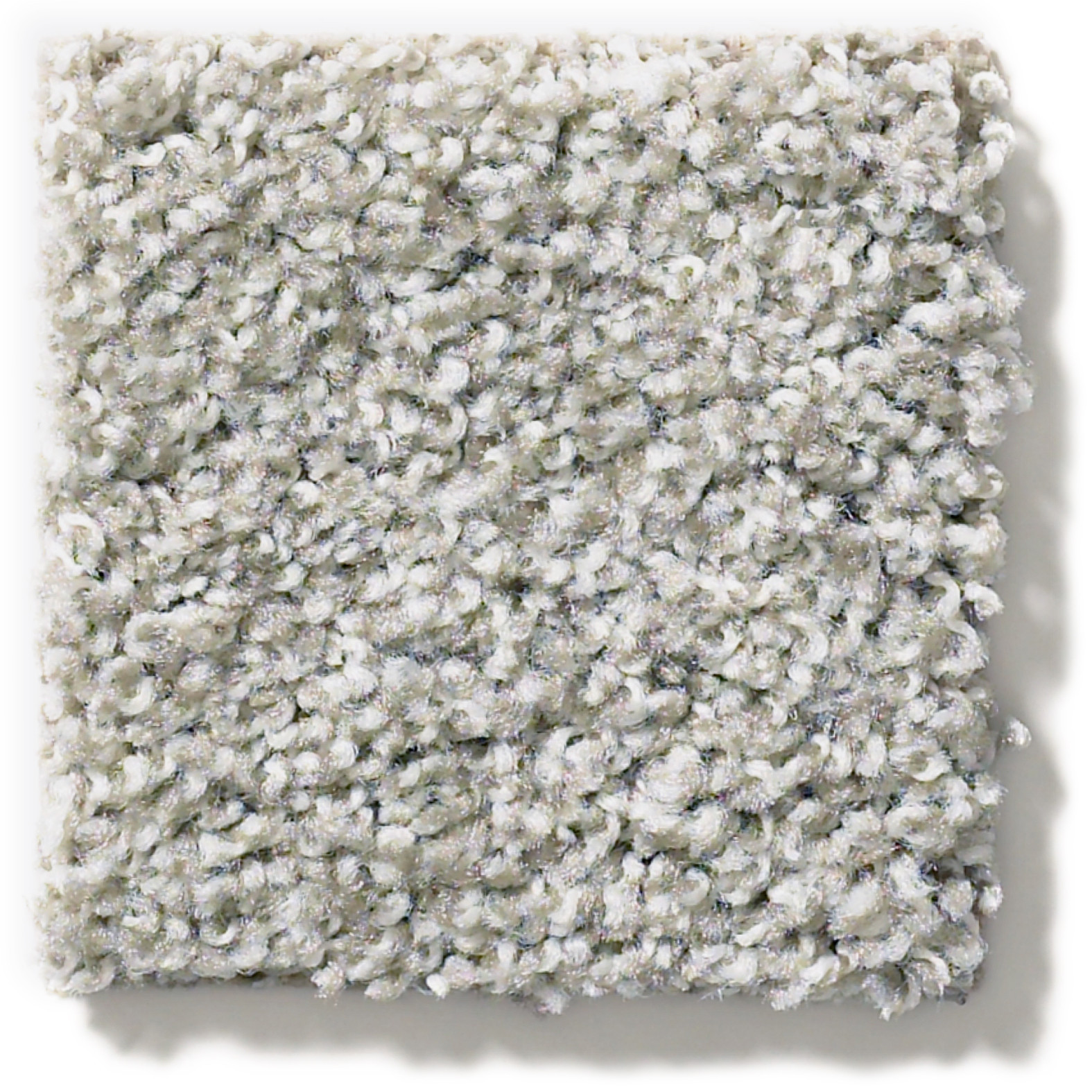 POISED GREAT GREIGE SWATCH