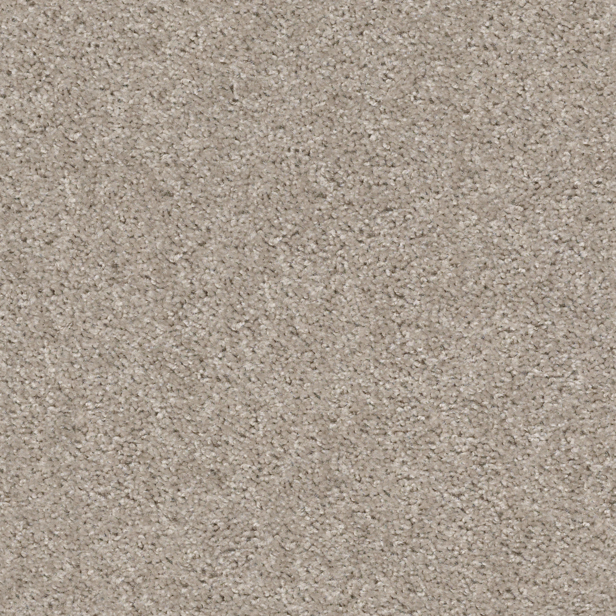 VALIANT QUIET MOMENT MAIN