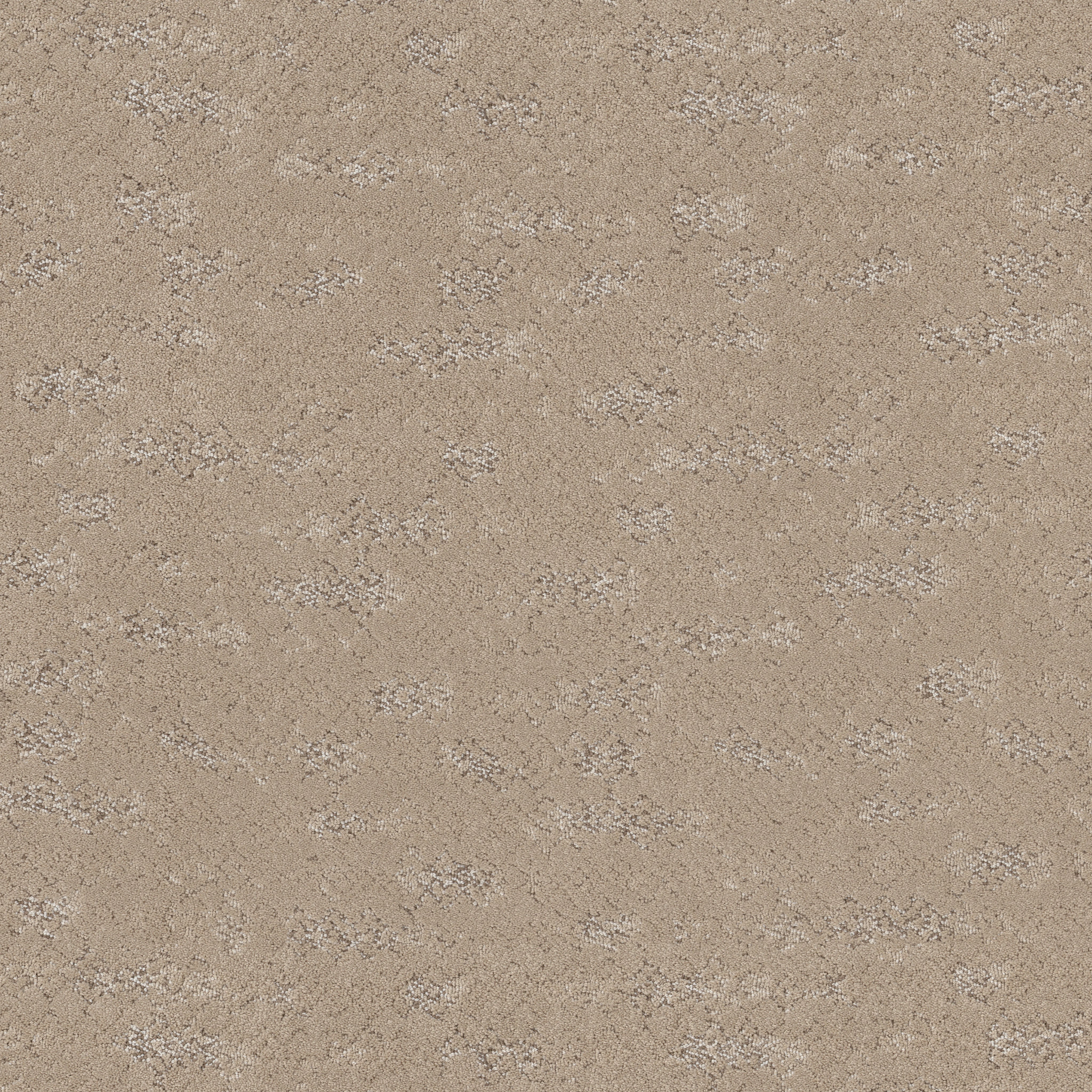 EVOKE FRESH BREAD MAIN