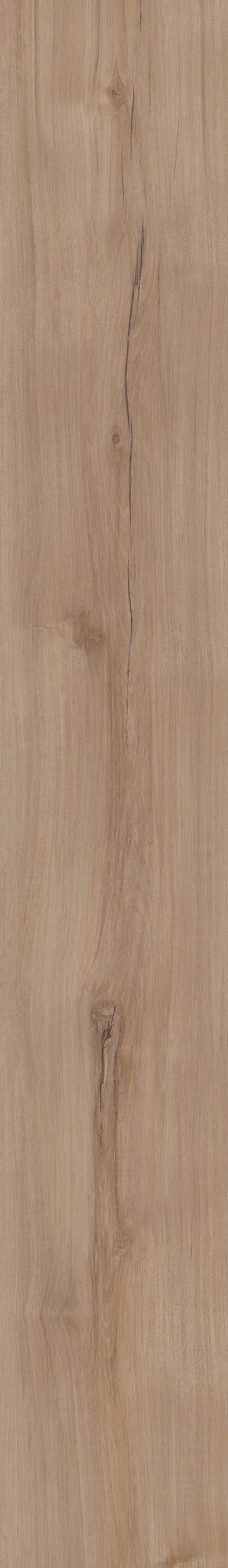 LUCENT OAK 1TO1