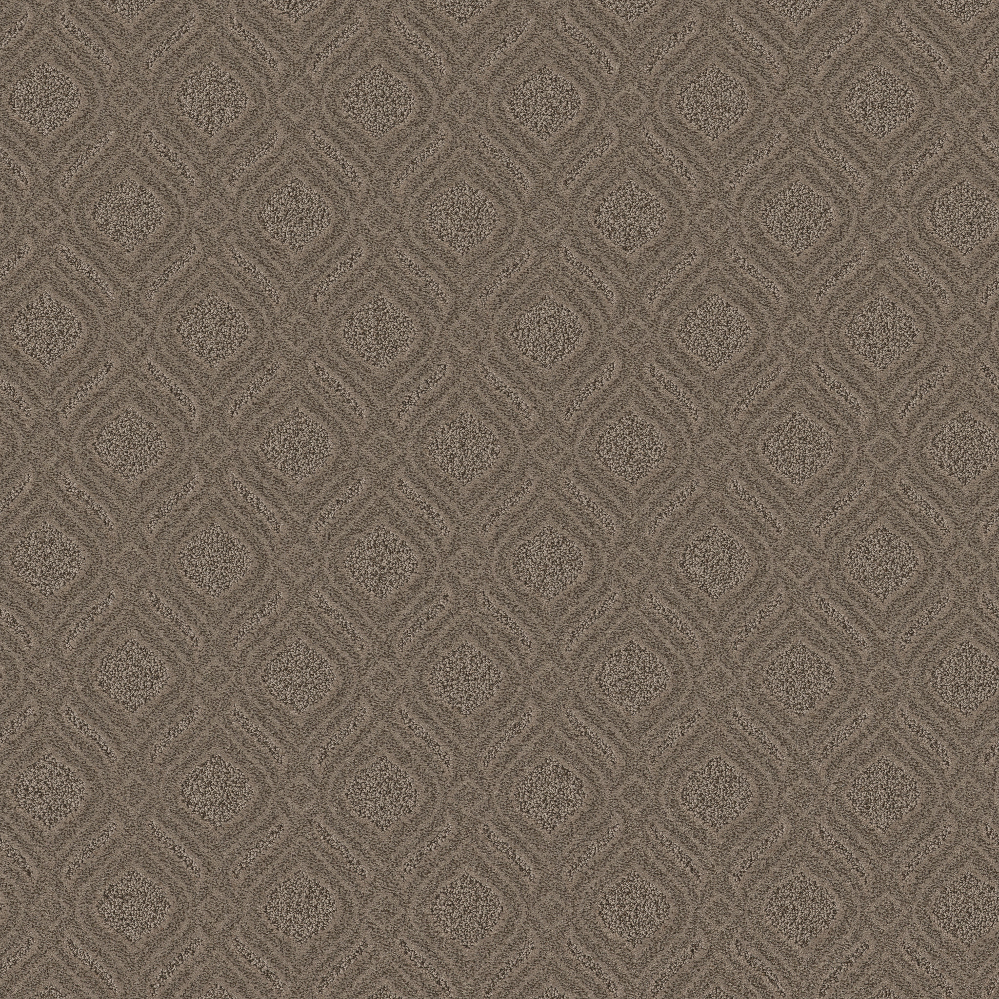 EXPRESSIVE ARROWHEAD MAIN