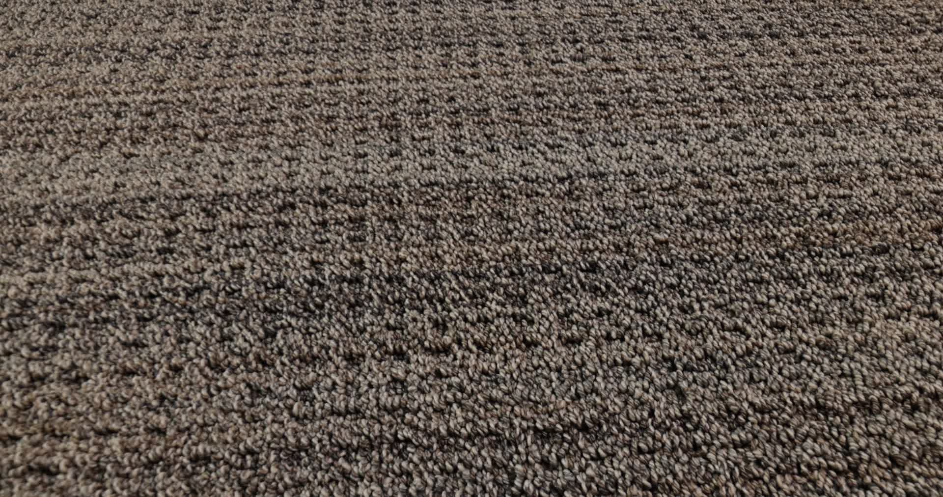 SUNDANCE CEDAR GROVE 360PROD