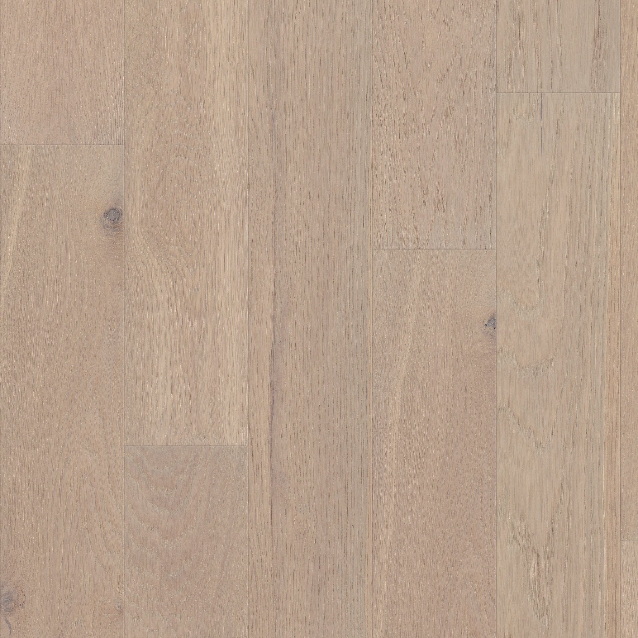 AMERICANA OAK TRADITION MAIN