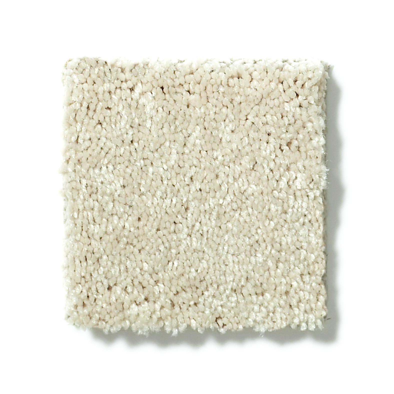 STEP RIGHT UP II 12' CREAMY TINT SWATCH