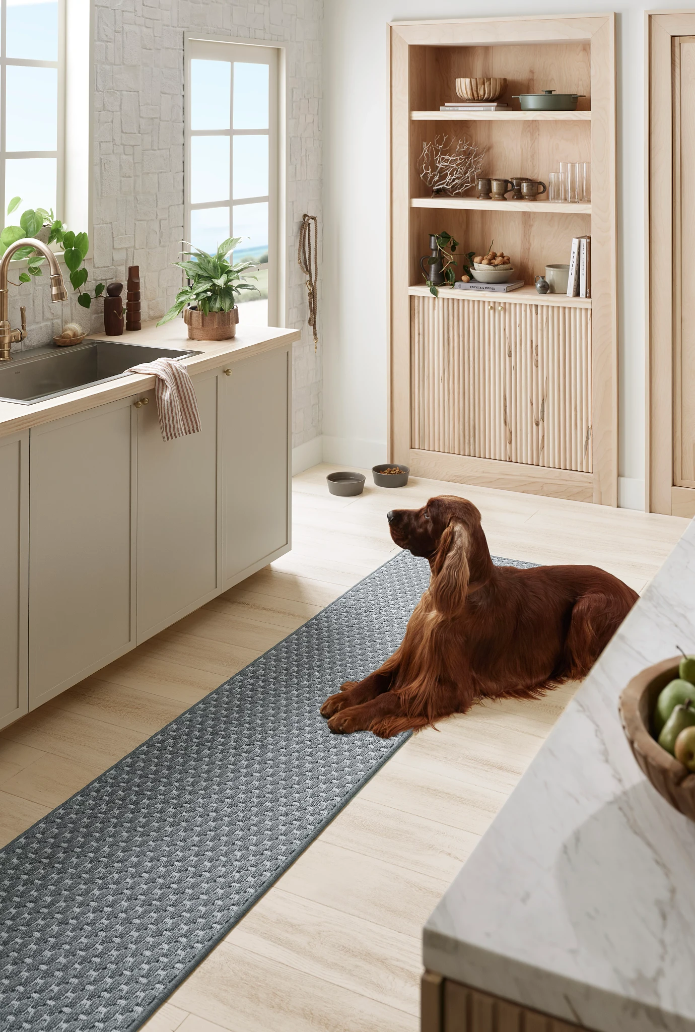 Golden retriever dog in a bright, airy kitchen lying on an area rug