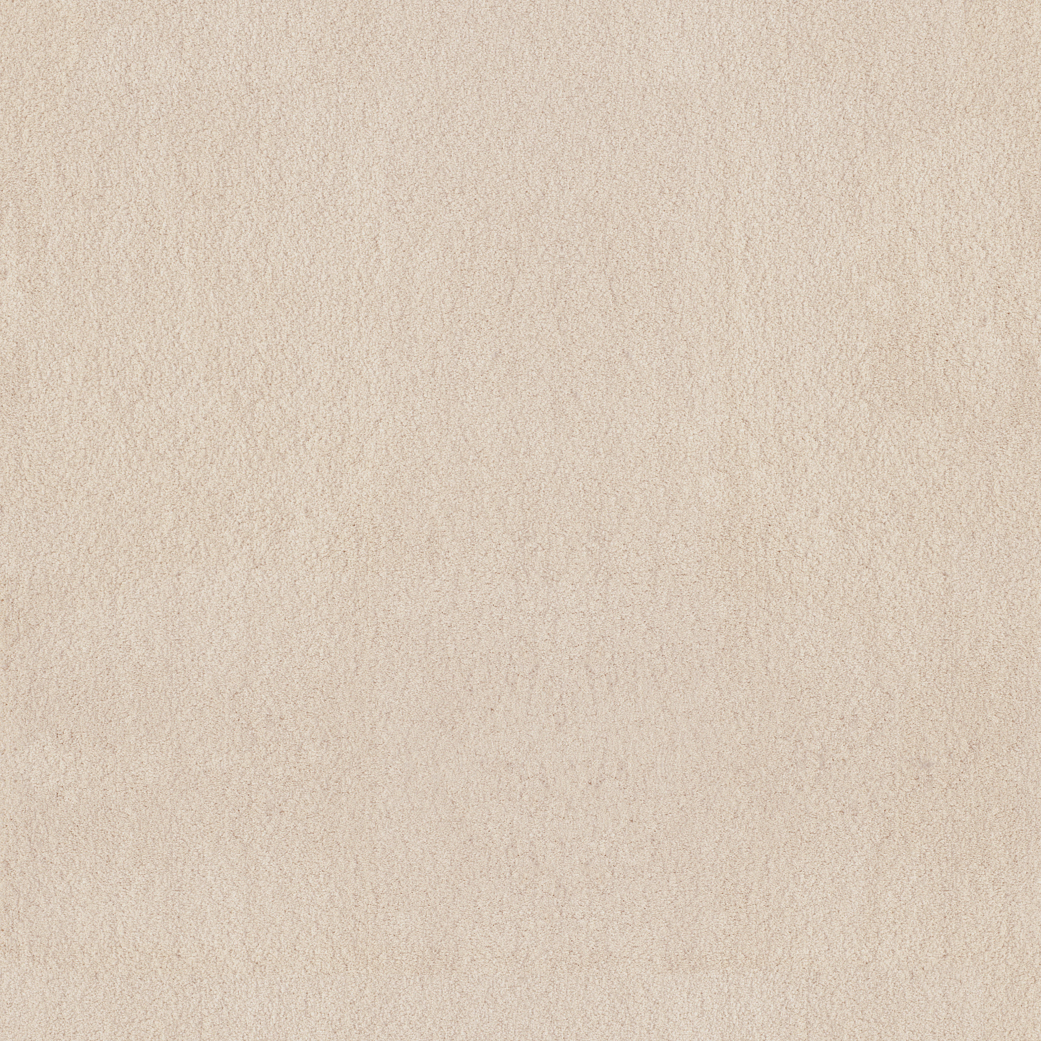 LUXE FEEL II DIVINE MAIN