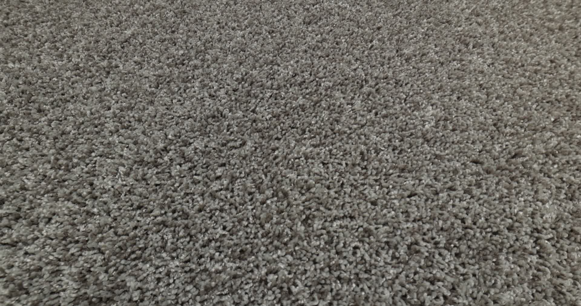 COLOR FLAIR DOLPHIN 360PROD