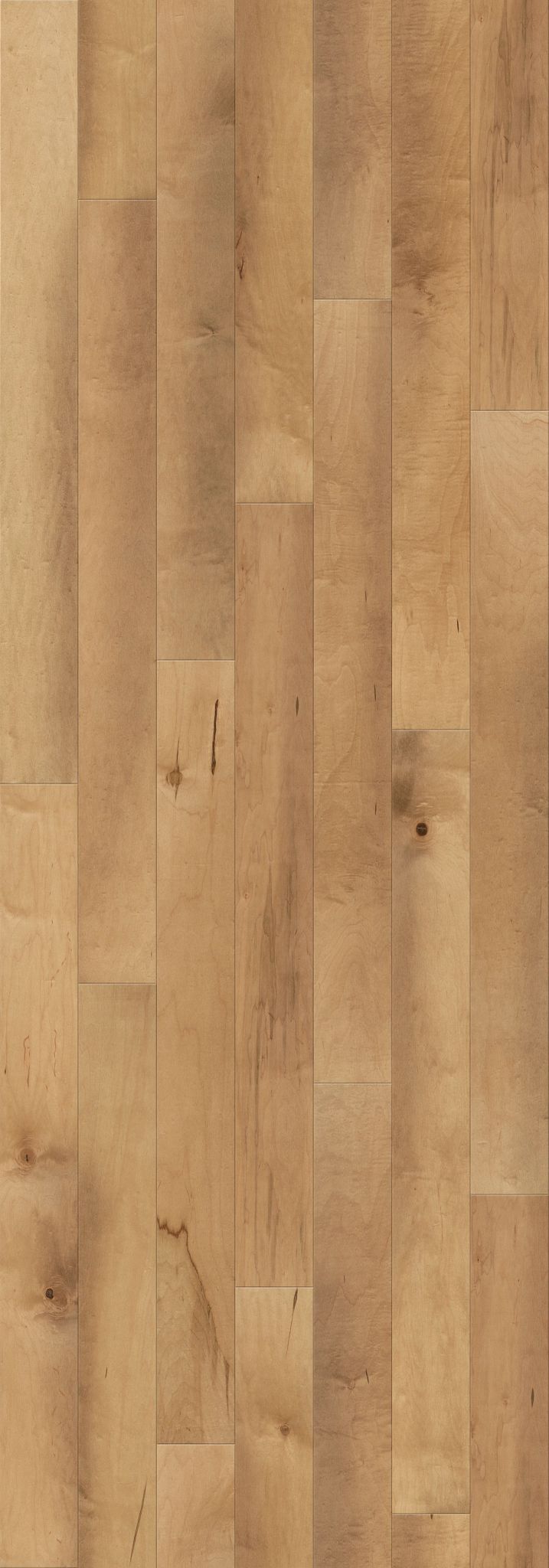 Ellison Maple engineered hardwood flooring in Meridian color, 6.37 inches wide, maple material, UV Aluminum Oxide finish