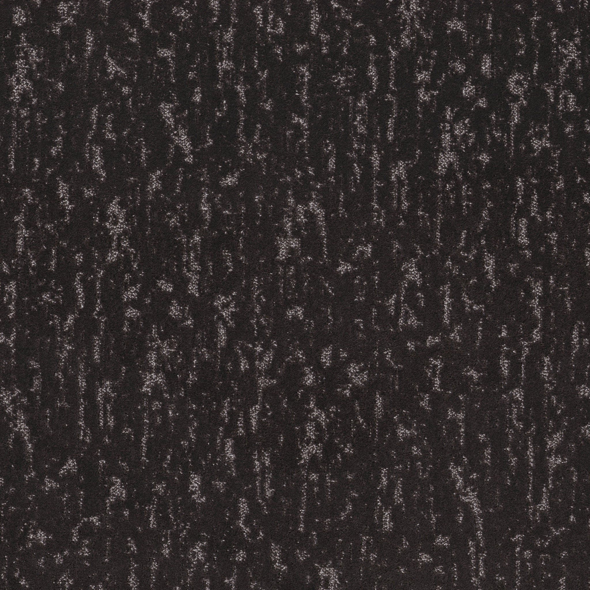 CALM EXPRESSION BISON MAIN