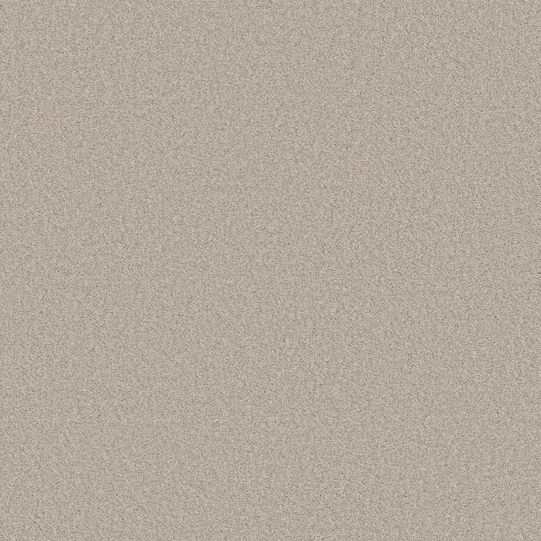 Harmonious II in Split Sediment
