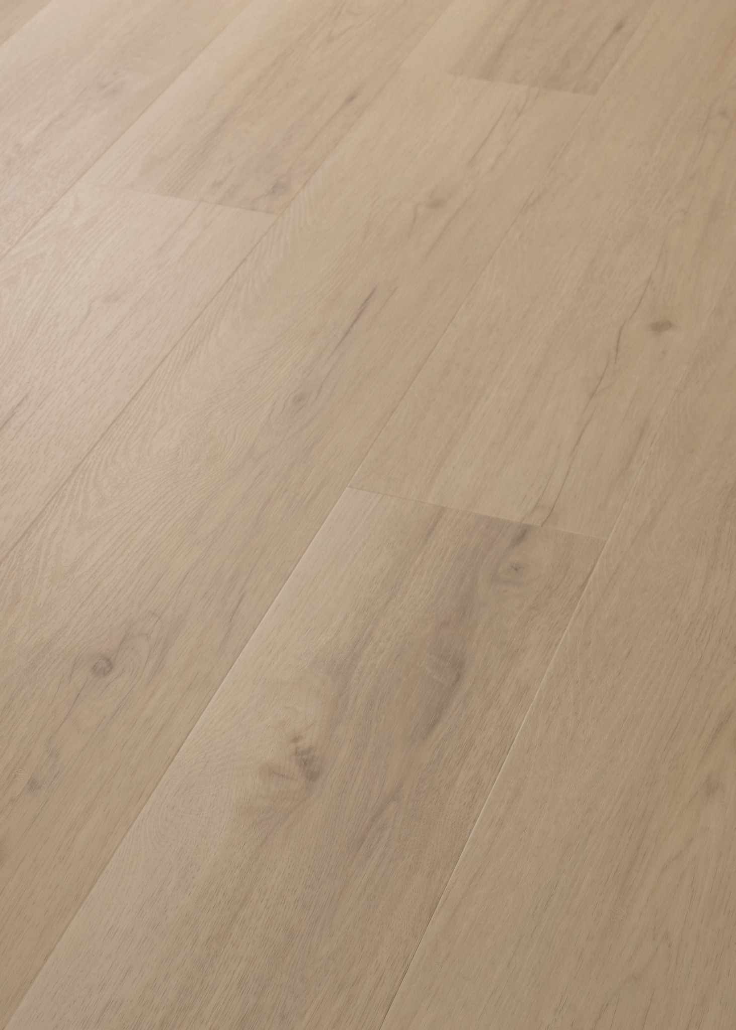 IGNITE ASHEN SAND ANGLED