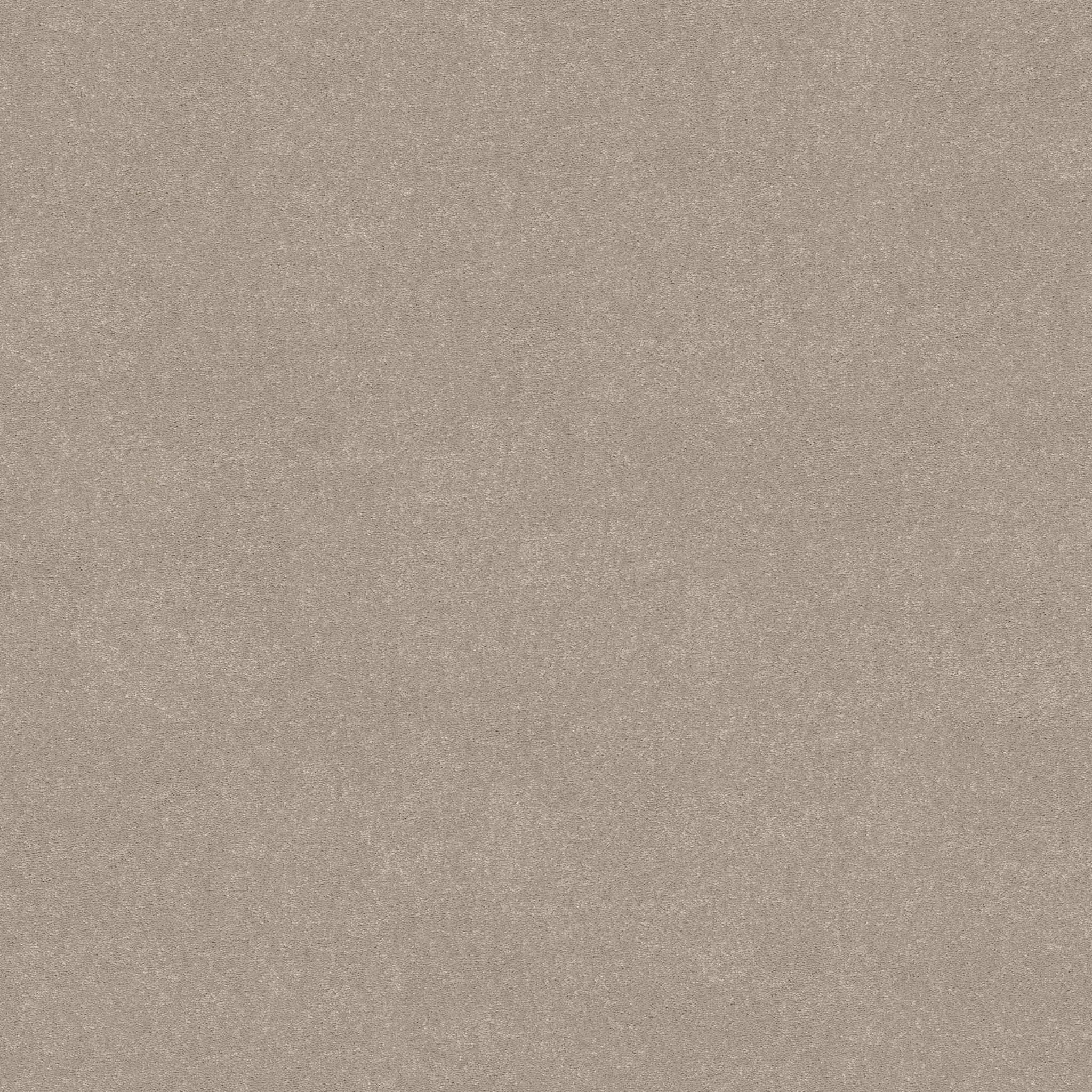 EASY SPIRIT II 12' GREIGE MAIN