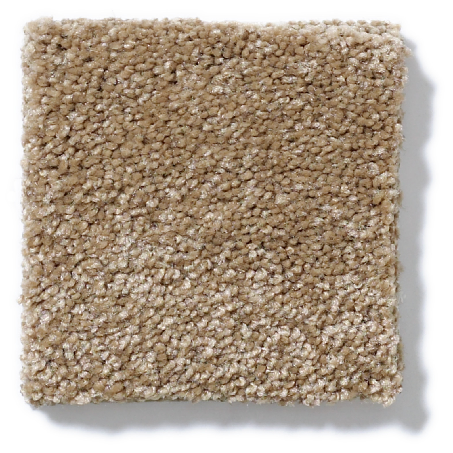 MOMENT OF TRUTH BRIDGEWATER TAN SWATCH