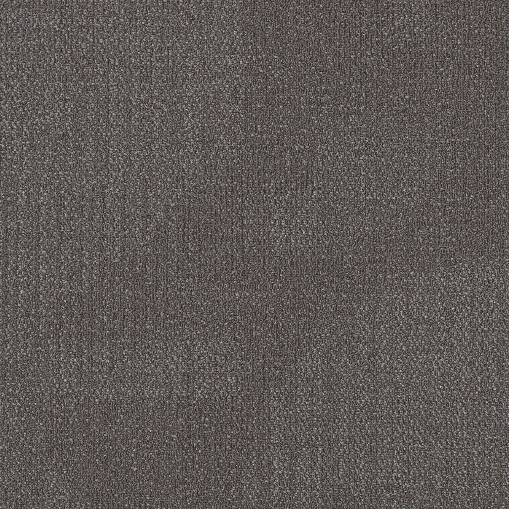 REEMERGE-54972-COMPOSE-00500-main-image