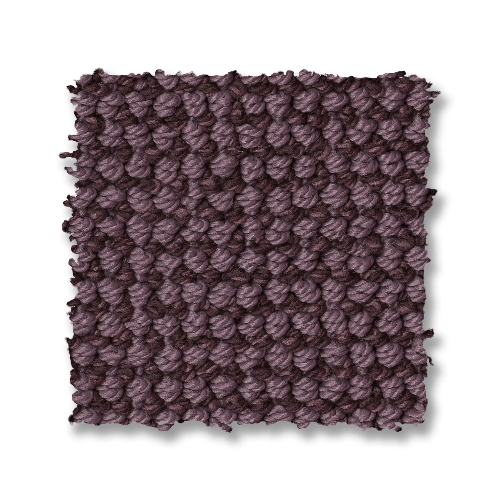 ALLURING PLUMWOOD SWATCH