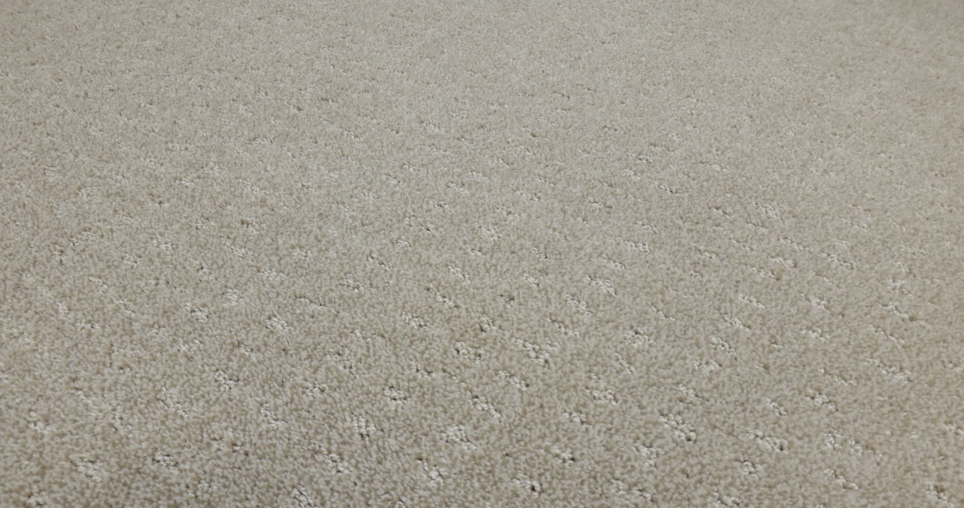 CHIC NUANCE FOSSIL PATH 360PROD