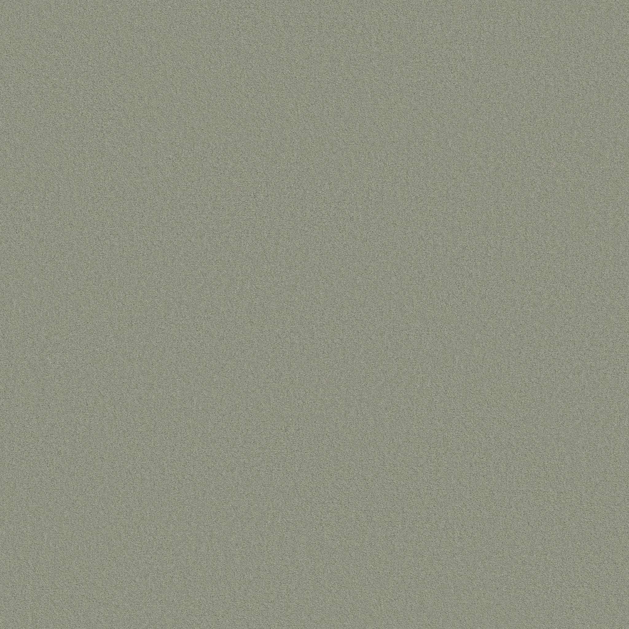 FINERY SAYBROOK SAGE MAIN