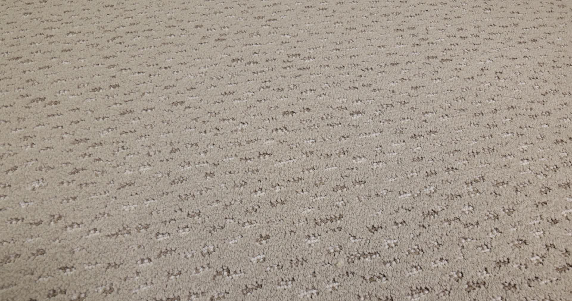 AMBITIOUS PEBBLE PATH 360PROD