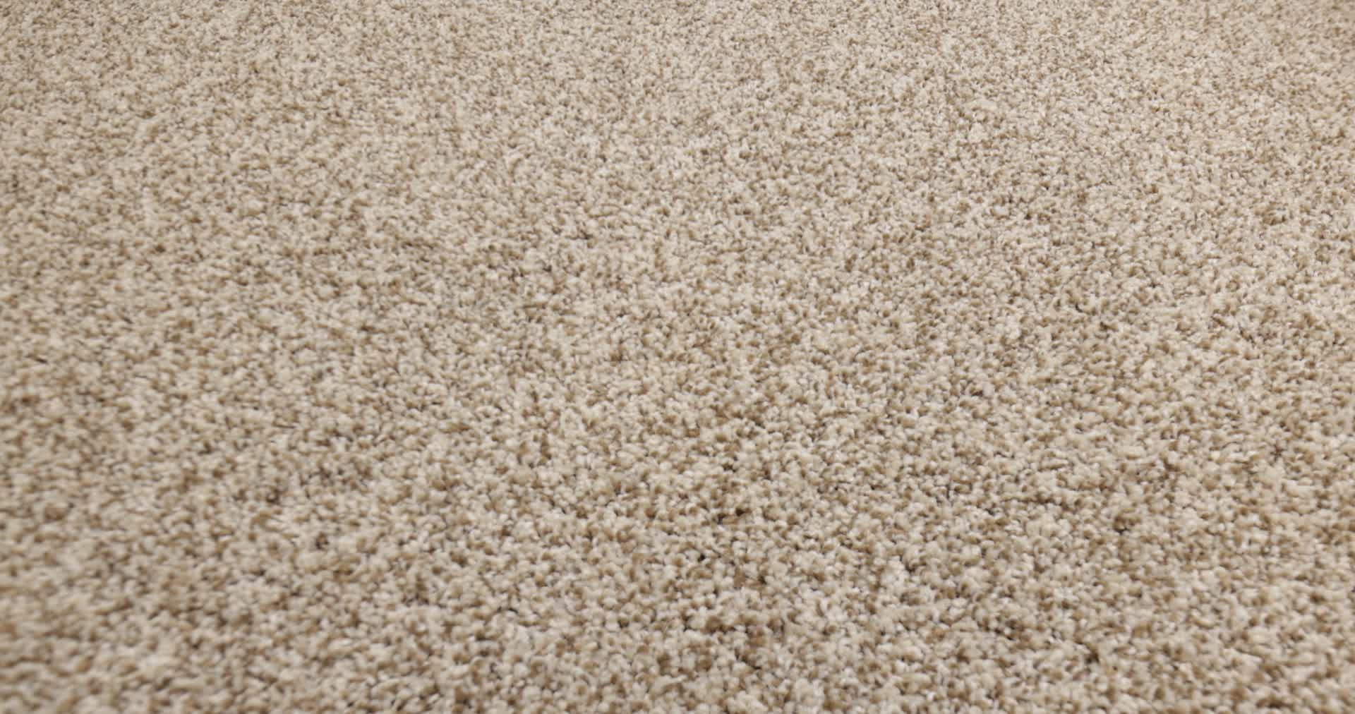 BOSSA NOVA LANDSCAPE 360PROD