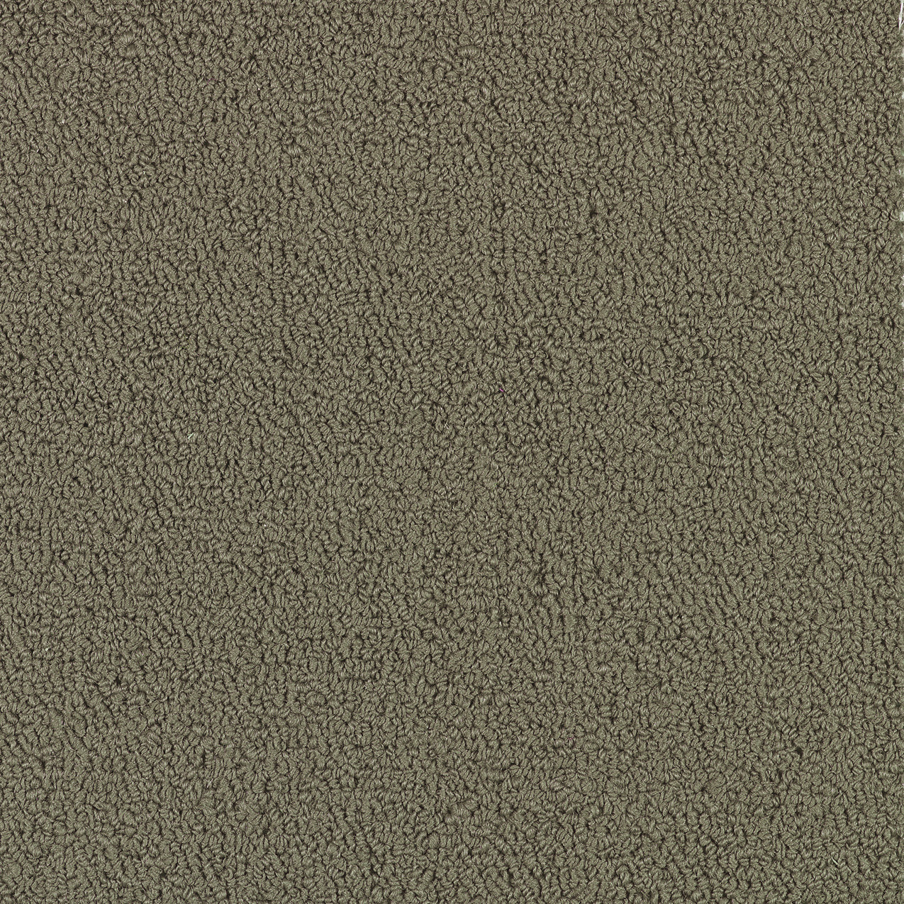 COLOR-ACCENTS-BL-54584-TAUPE-62760-main-image