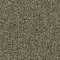 COLOR ACCENTS BL 54584 TAUPE 62760 main image