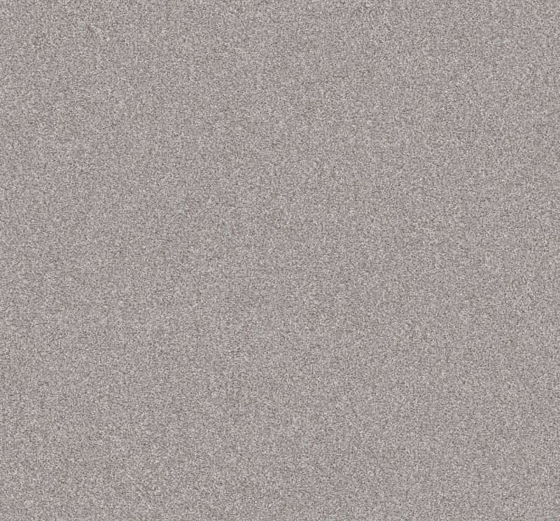 Inlet Shore II 15 Broadloom Carpet Rod Iron color 100% Polyester 15ft wide