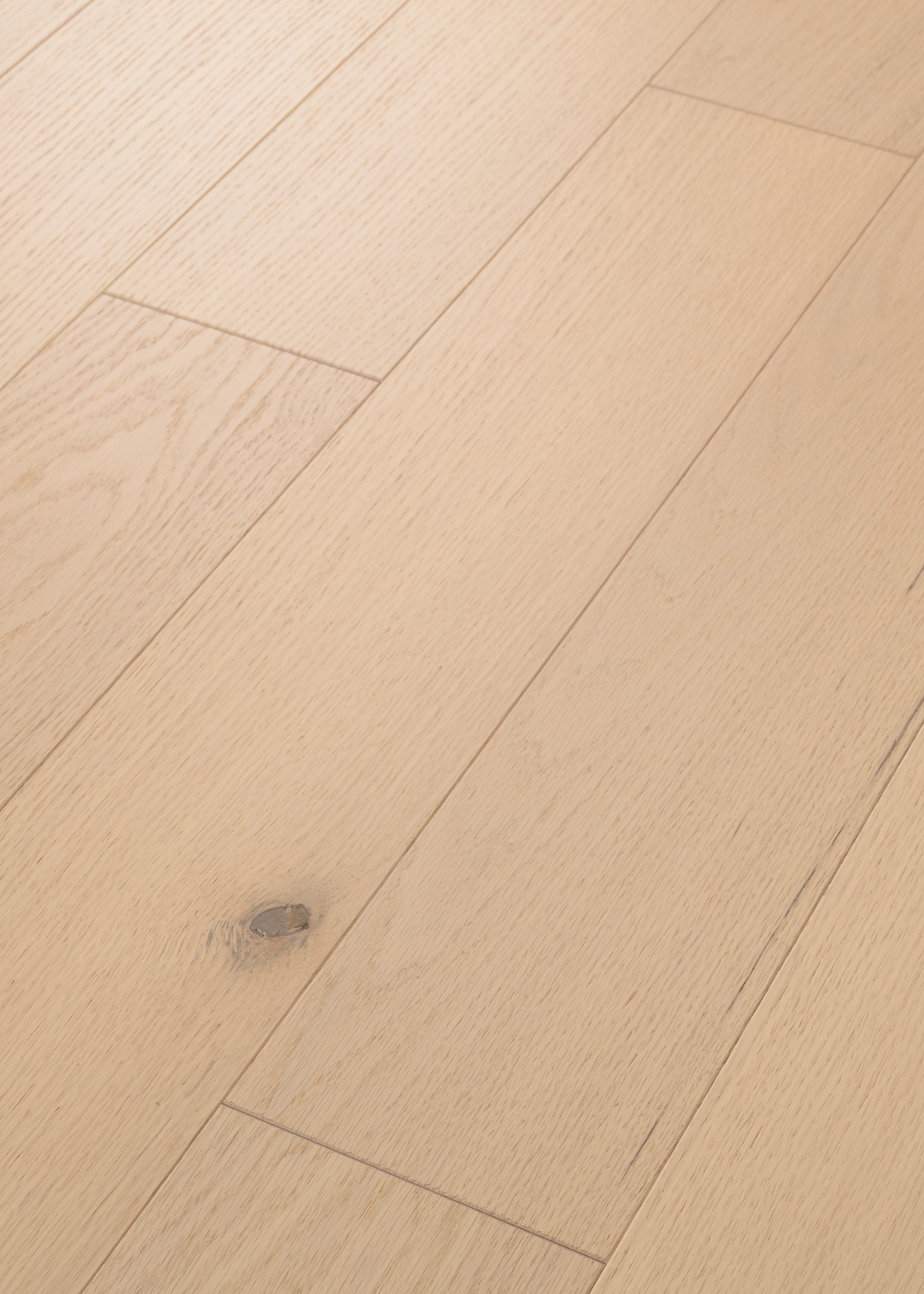 SANCTUARY OAK SERENITY ANGLED