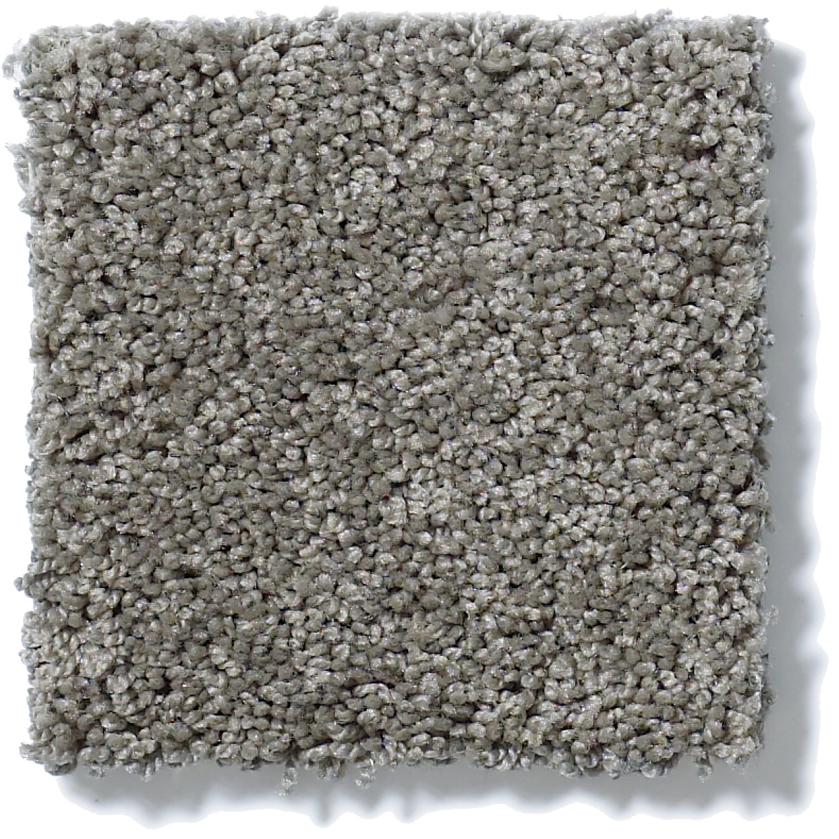 AG TIMELESS BOULDER SWATCH