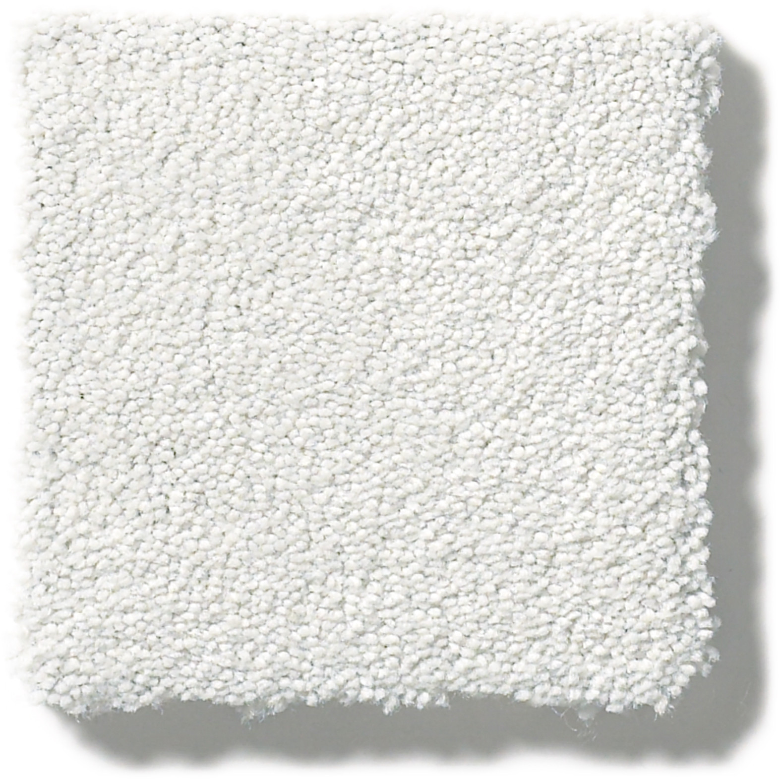 PERFECT CHOICE CITY RAIN SWATCH