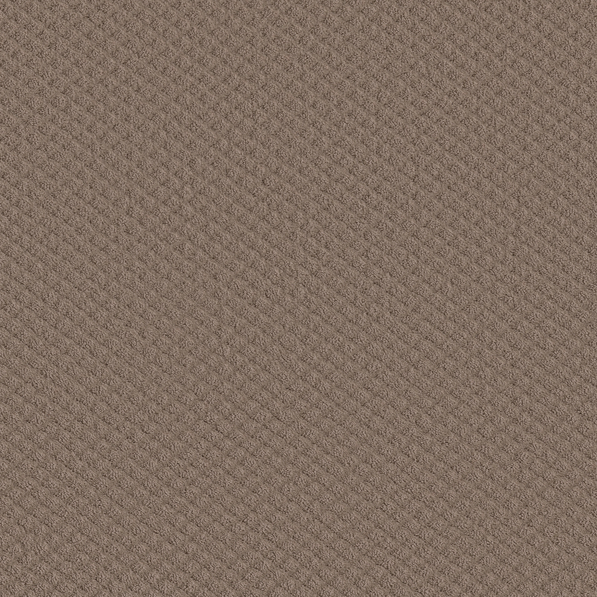 MIDLAND CHARM PURE EARTH MAIN