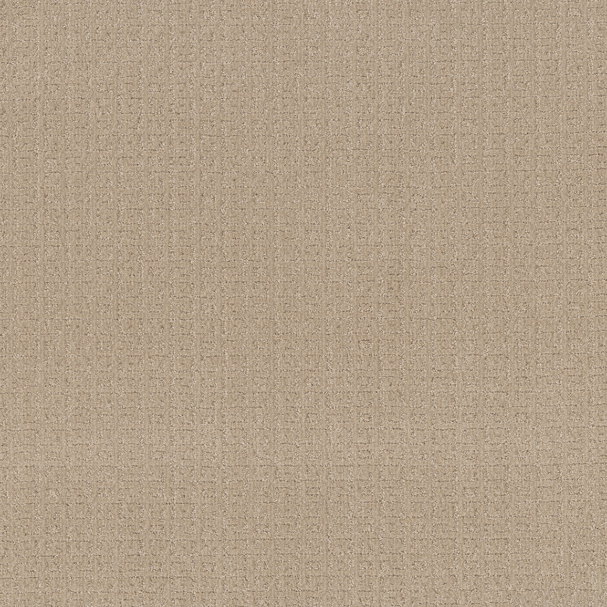 VIGNETTE LOFT LIGHT MAIN