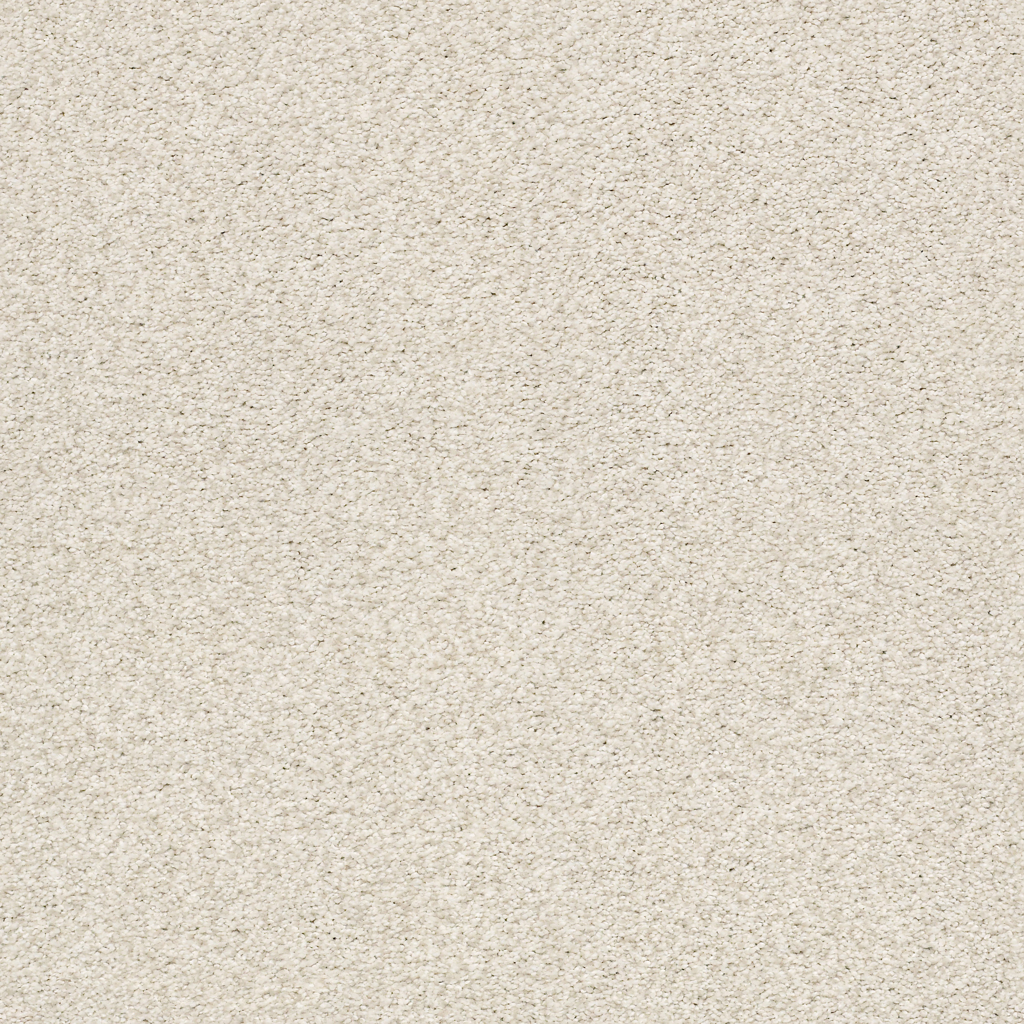 TONAL COMFORT BLUE CHAMPAGNE TOAST MAIN