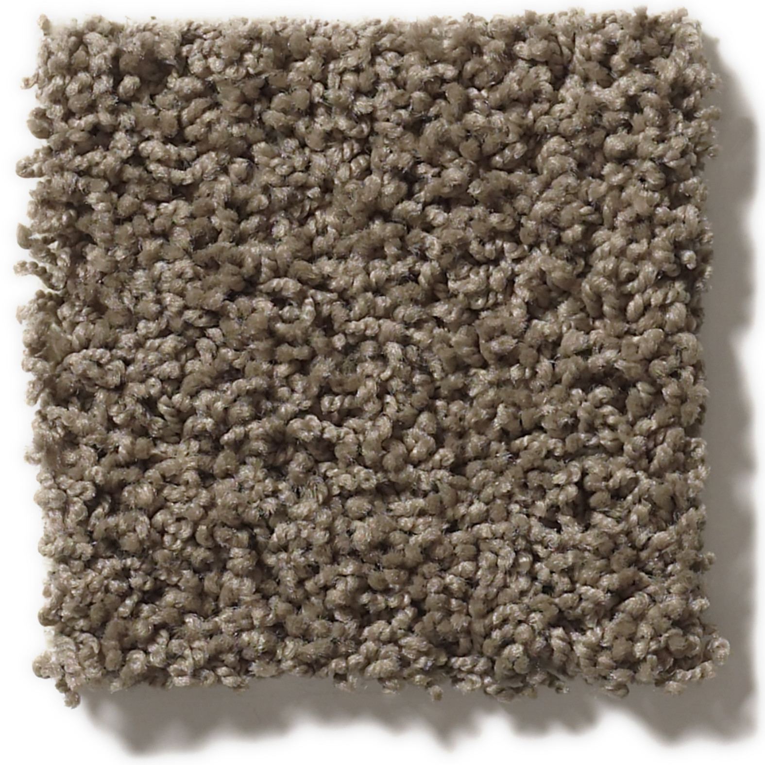 DEL MORRO SHADOW SWATCH