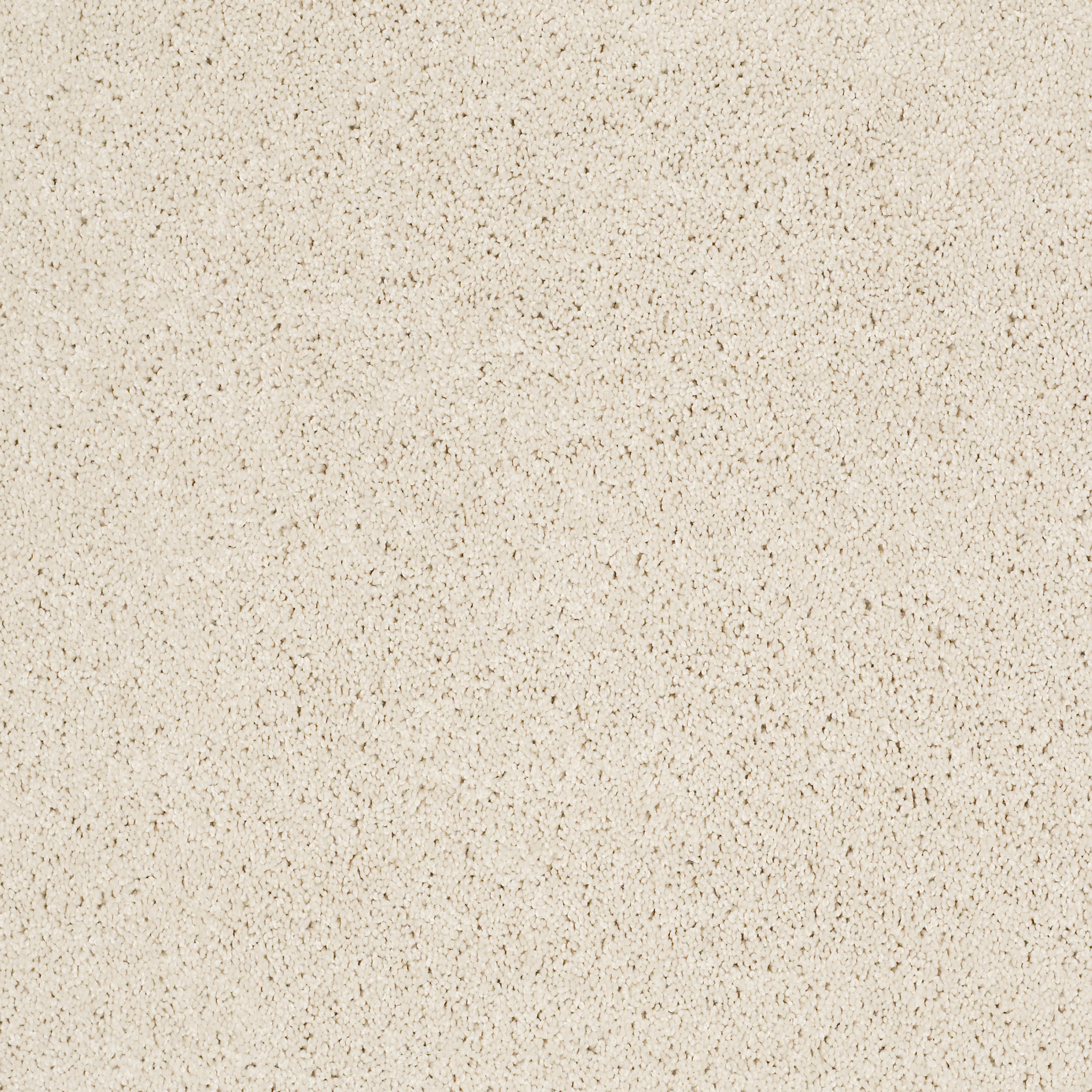 KEEN SENSES I IVORY PAPER MAIN