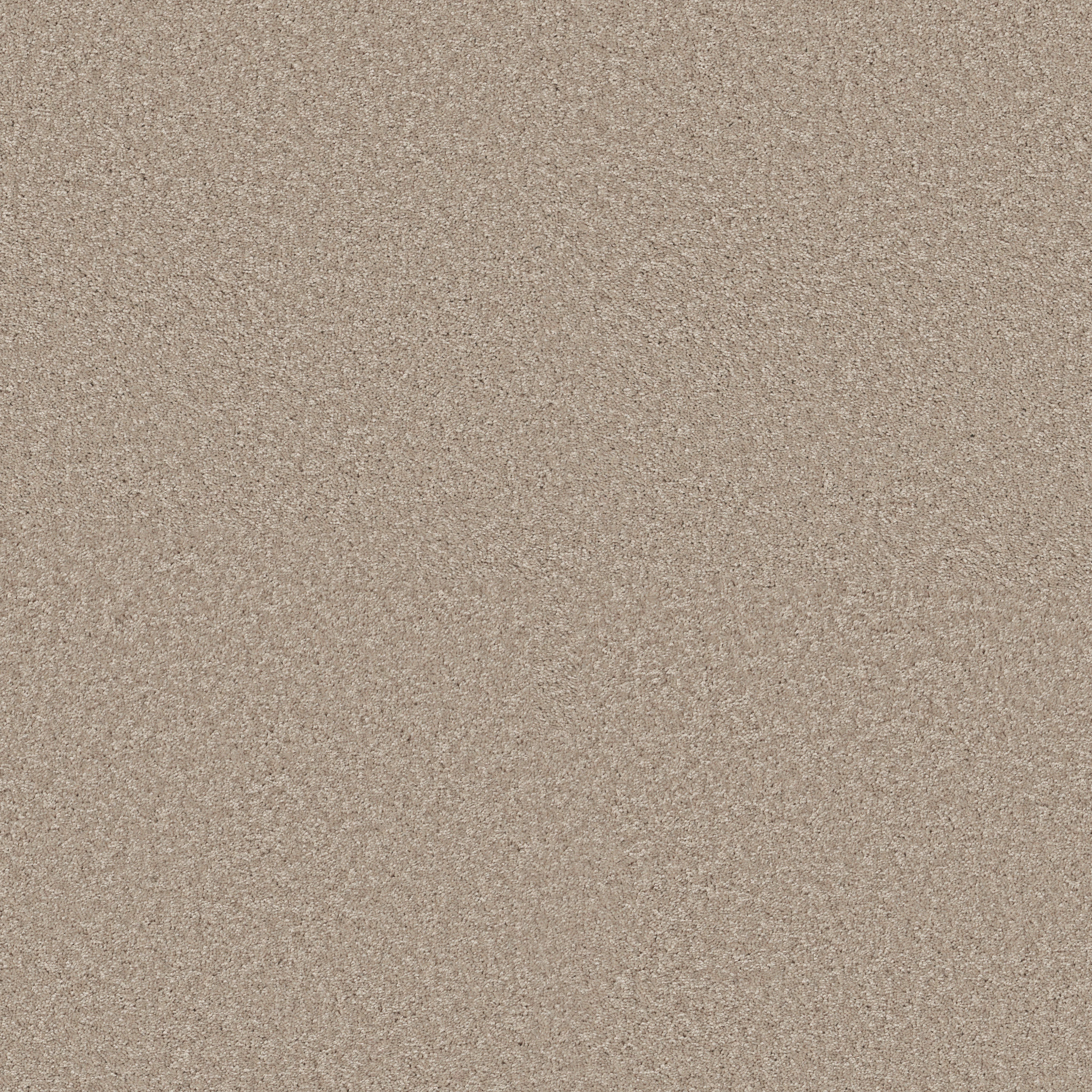 BEAUTIFULLY SIMPLE II 15' ECRU MAIN