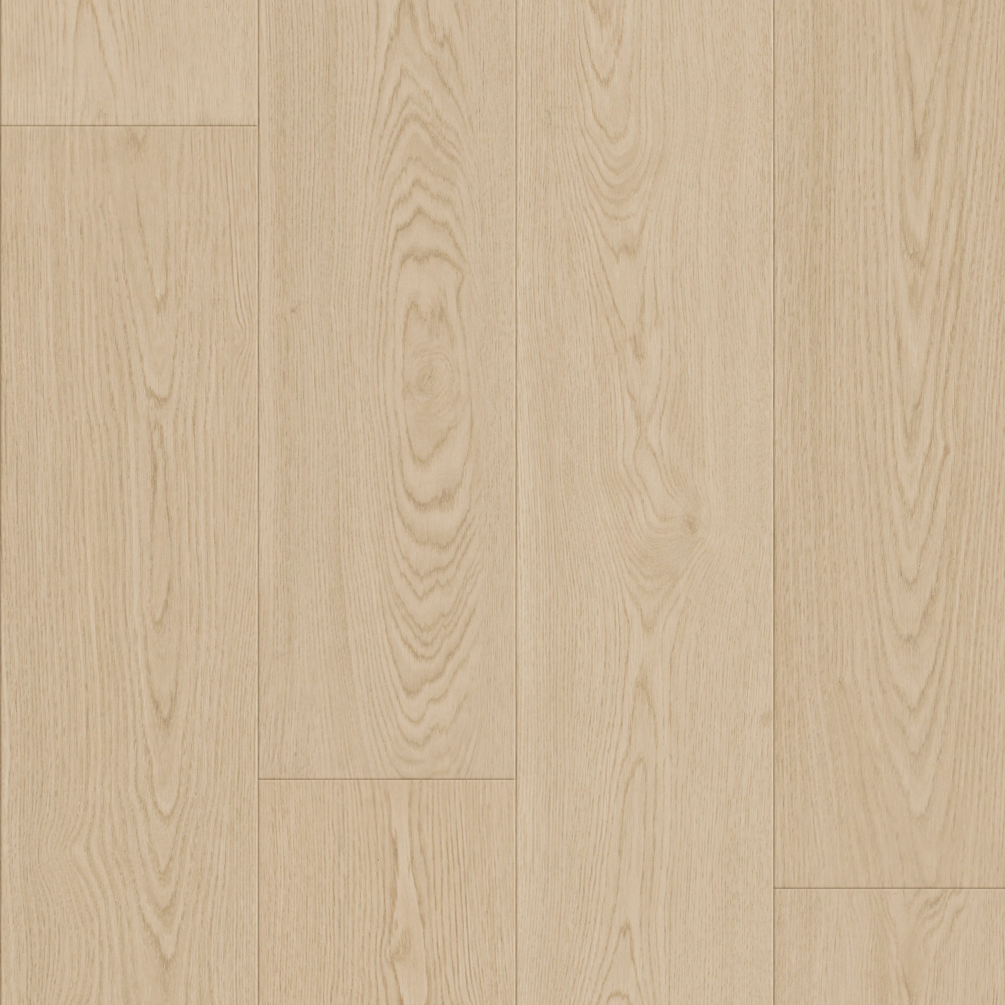 KOMONDOR BIRCHWOOD CREAM MAIN