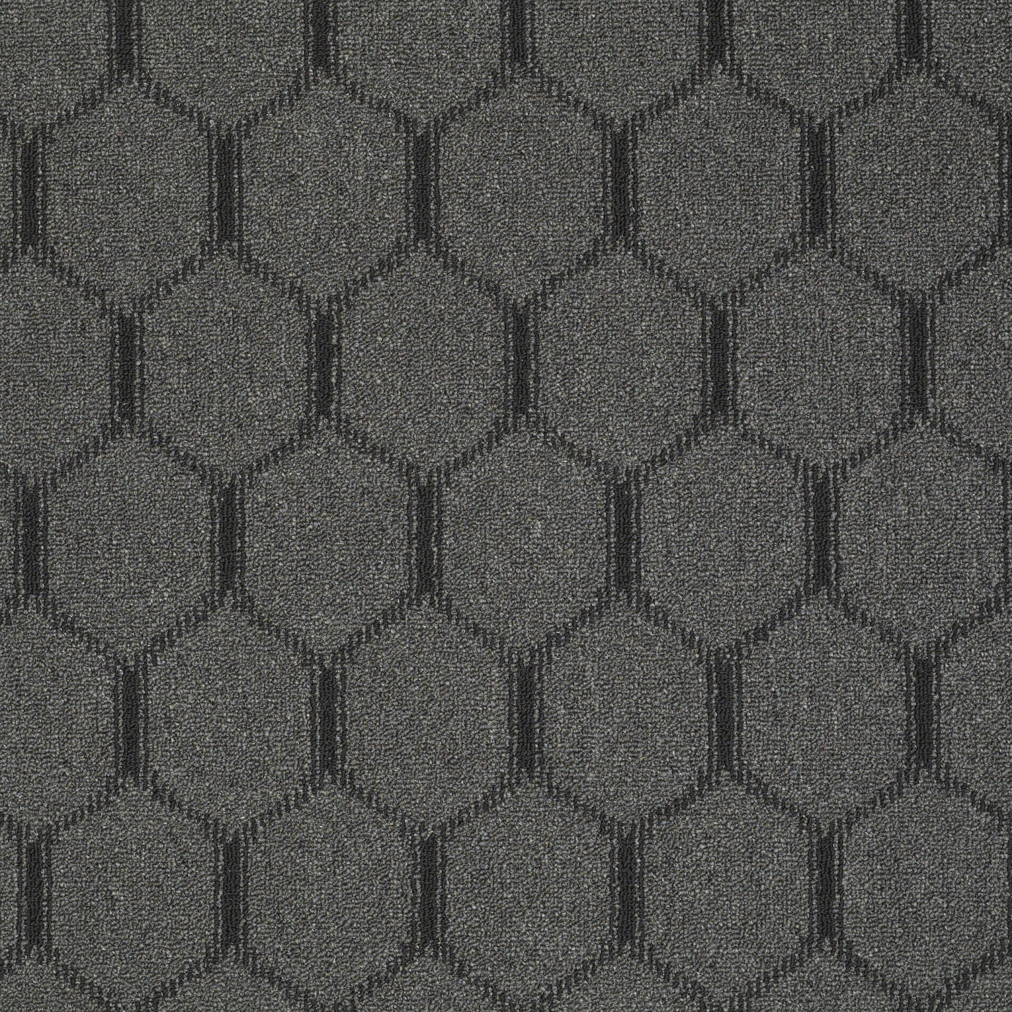 OGEE-54777-TIMBER-WOLF-00505-main-image