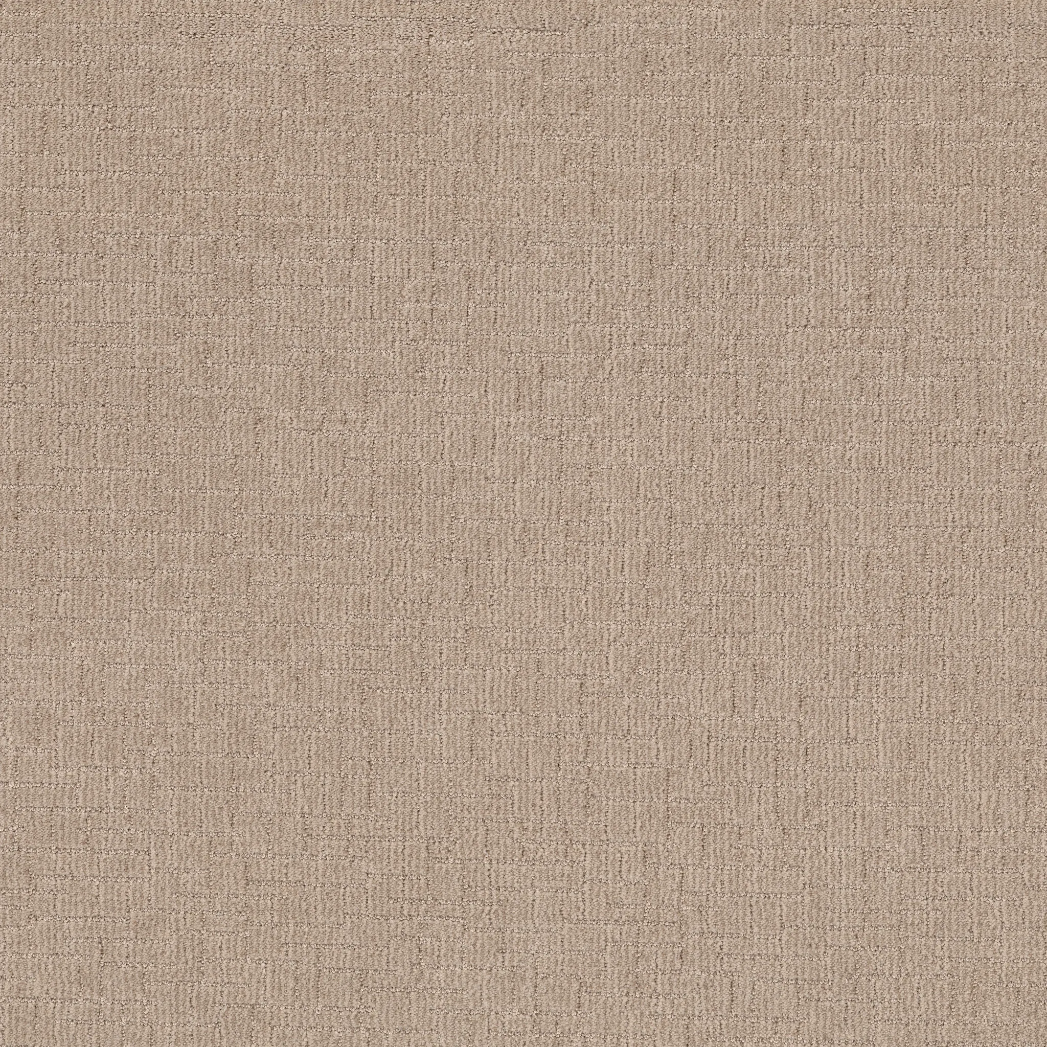 Beige carpet swatch with subtle texture