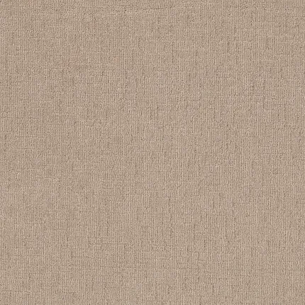 Beige Carpet Flooring Swatch Beige carpet swatch with subtle texture