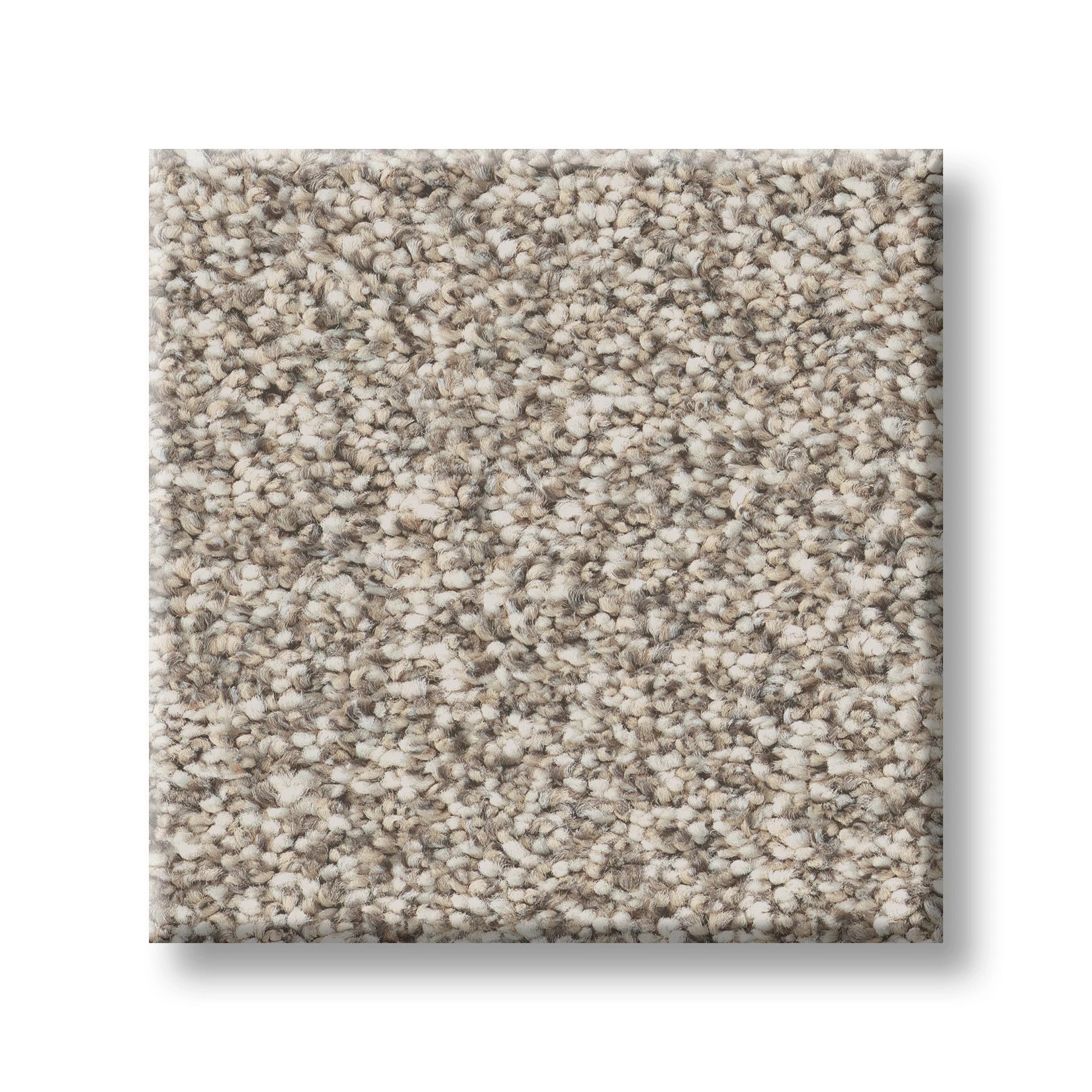 TIMELESS TONE SOFT SAND SWATCH